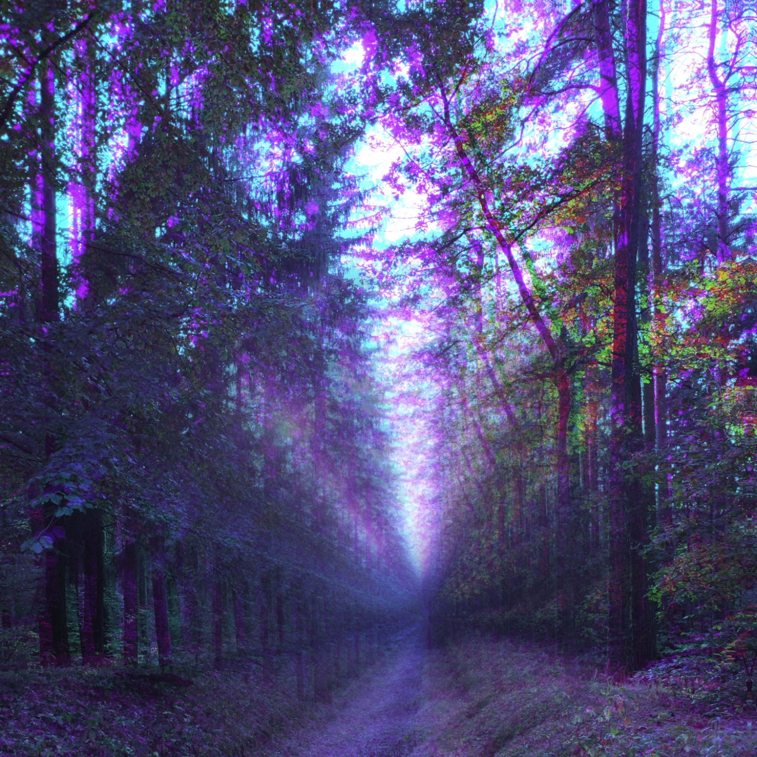 26.02.2026 Audioalienacje - Krzysztof Buzderewicz episode artwork
