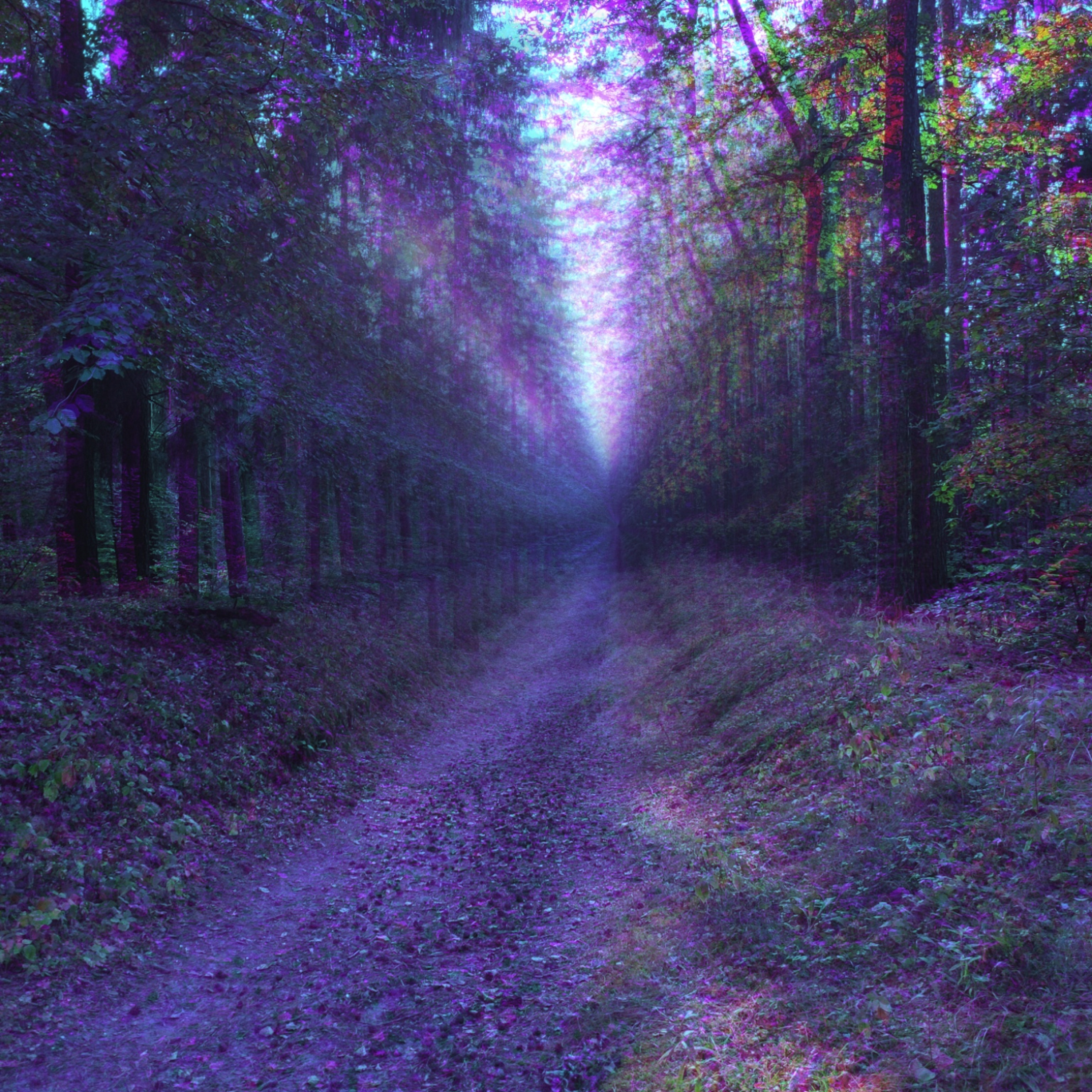 16.04.2026 Audioalienacje - Krzysztof Buzderewicz episode artwork