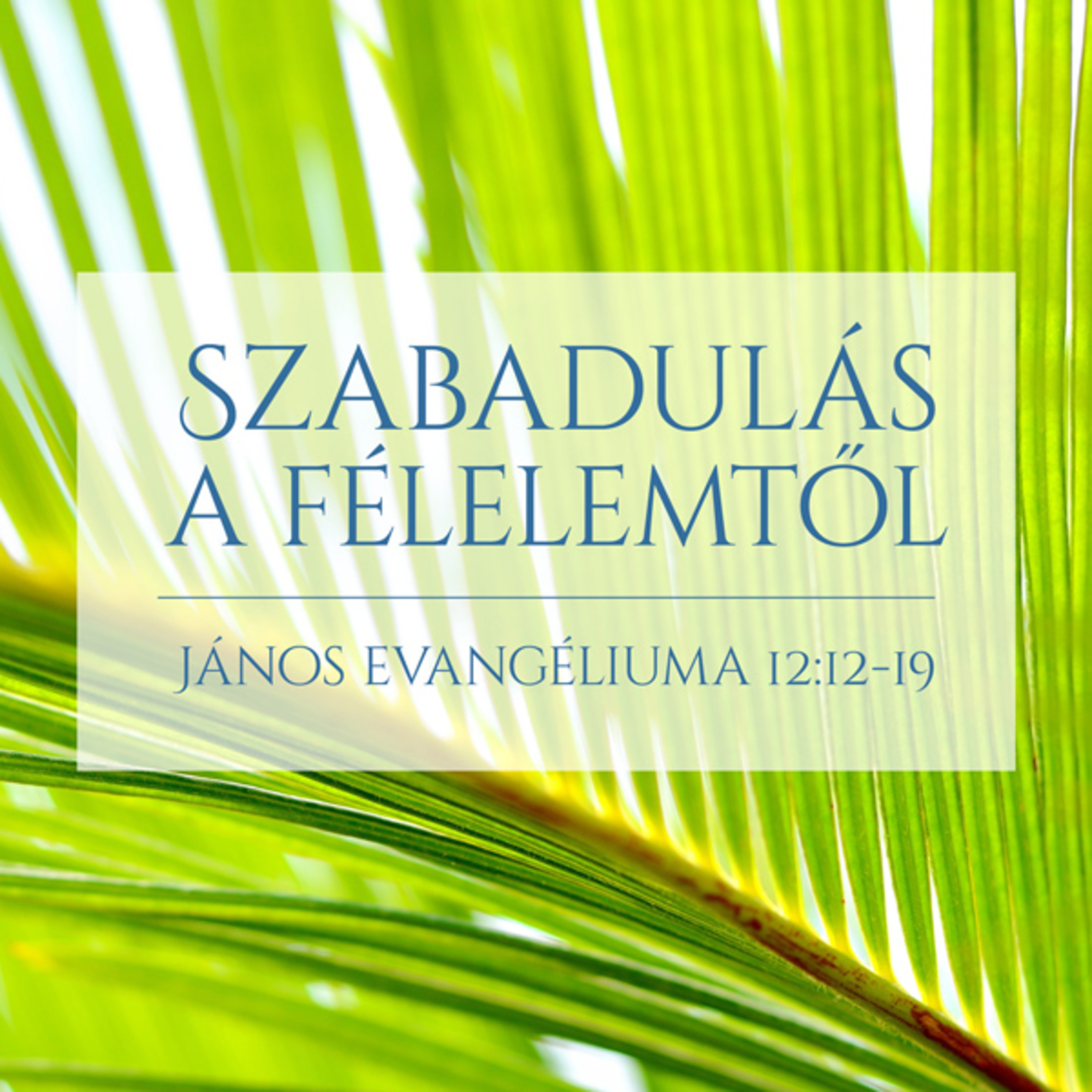 Kübler János - Szabadulás a félelemtől (János 12:12-19)