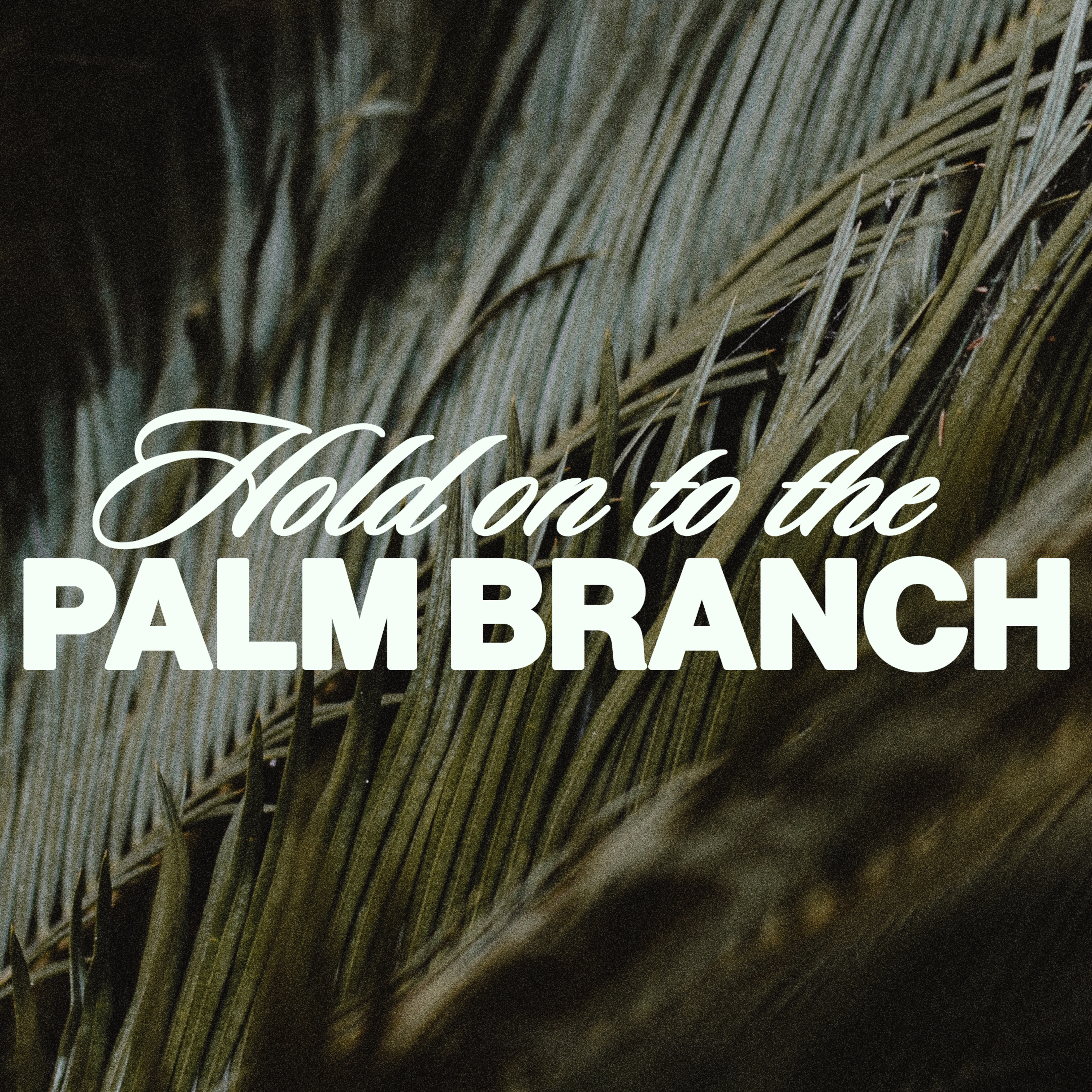 Hold On To The Palm Branch - 04/02/23 episode artwork