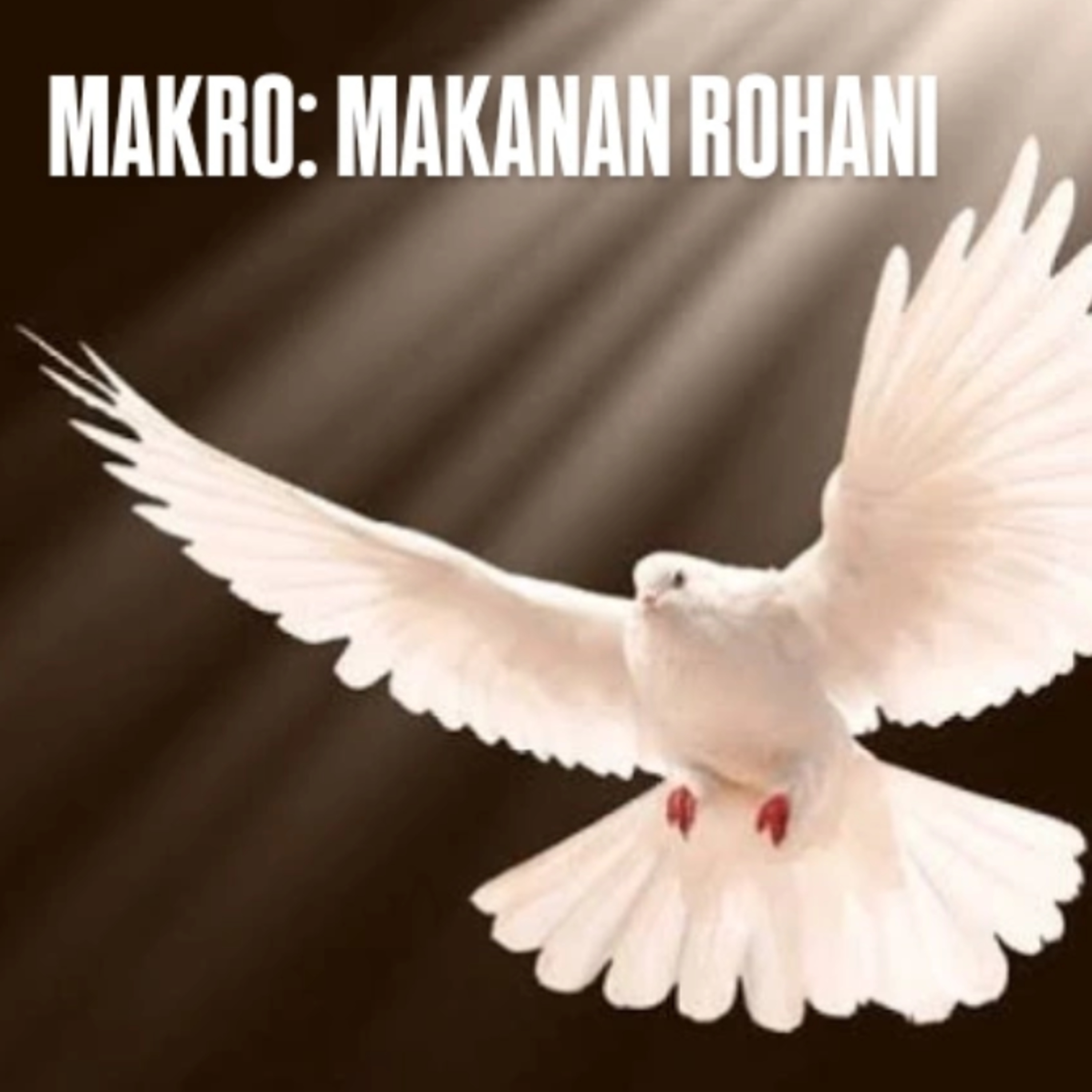 MAKRO: MAKANAN ROHANI, 7 Juni 2025 | Tema: Roh yang memerdekakan | Nas: Roma 8:1-2