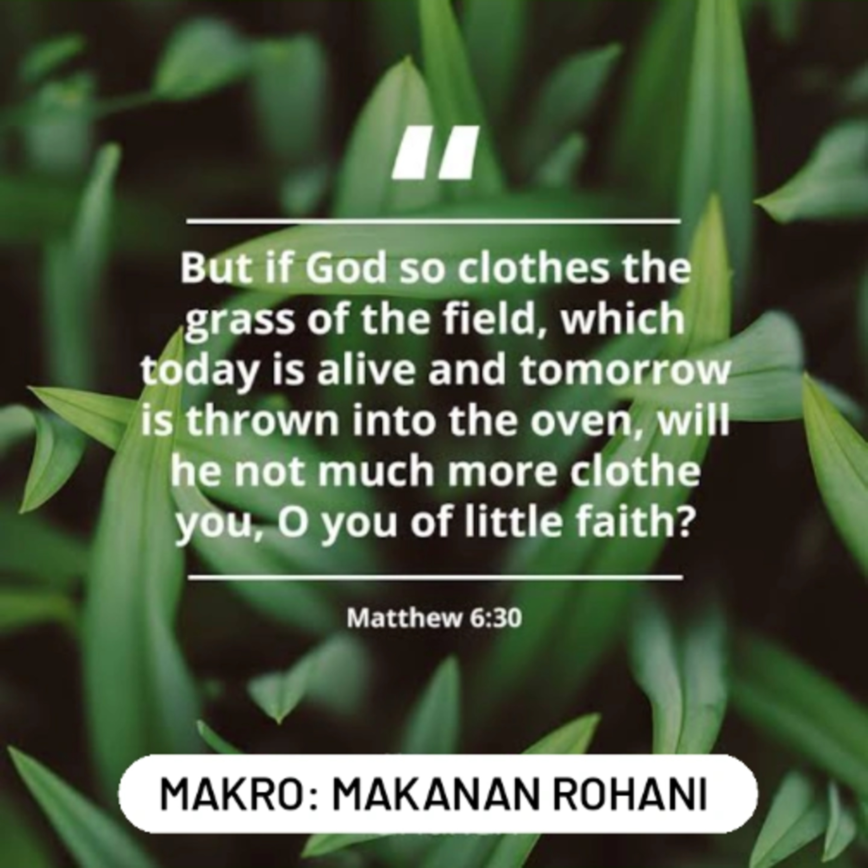 MAKRO: MAKANAN ROHANI, 27 Agustus 2025 | Tema: Belajar dari alam | Nas: Matius 6:25-34