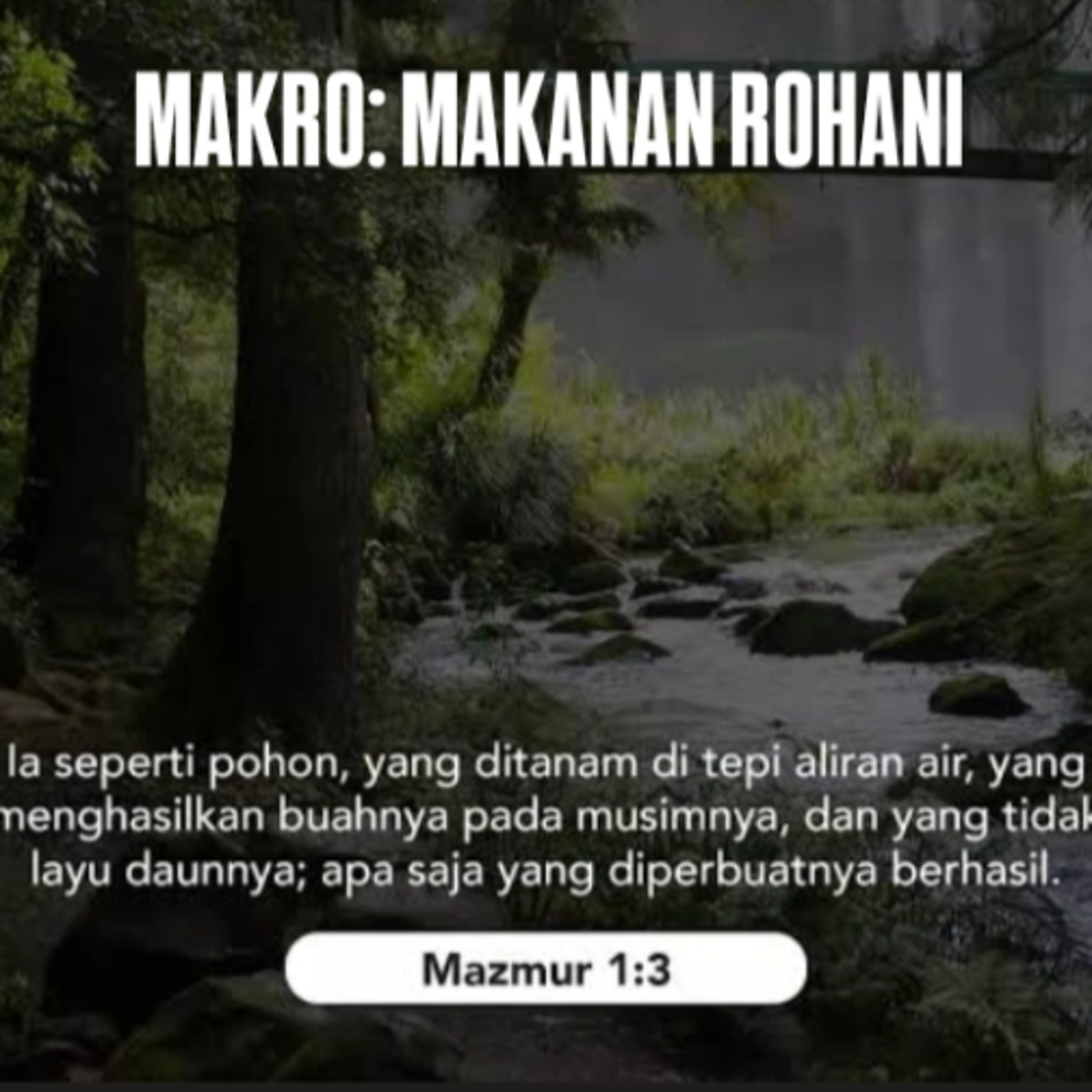 MAKRO: MAKANAN ROHANI, 1 November 2025 | Tema: Hidup yang terus berbuah | Nas: Mazmur 1:3