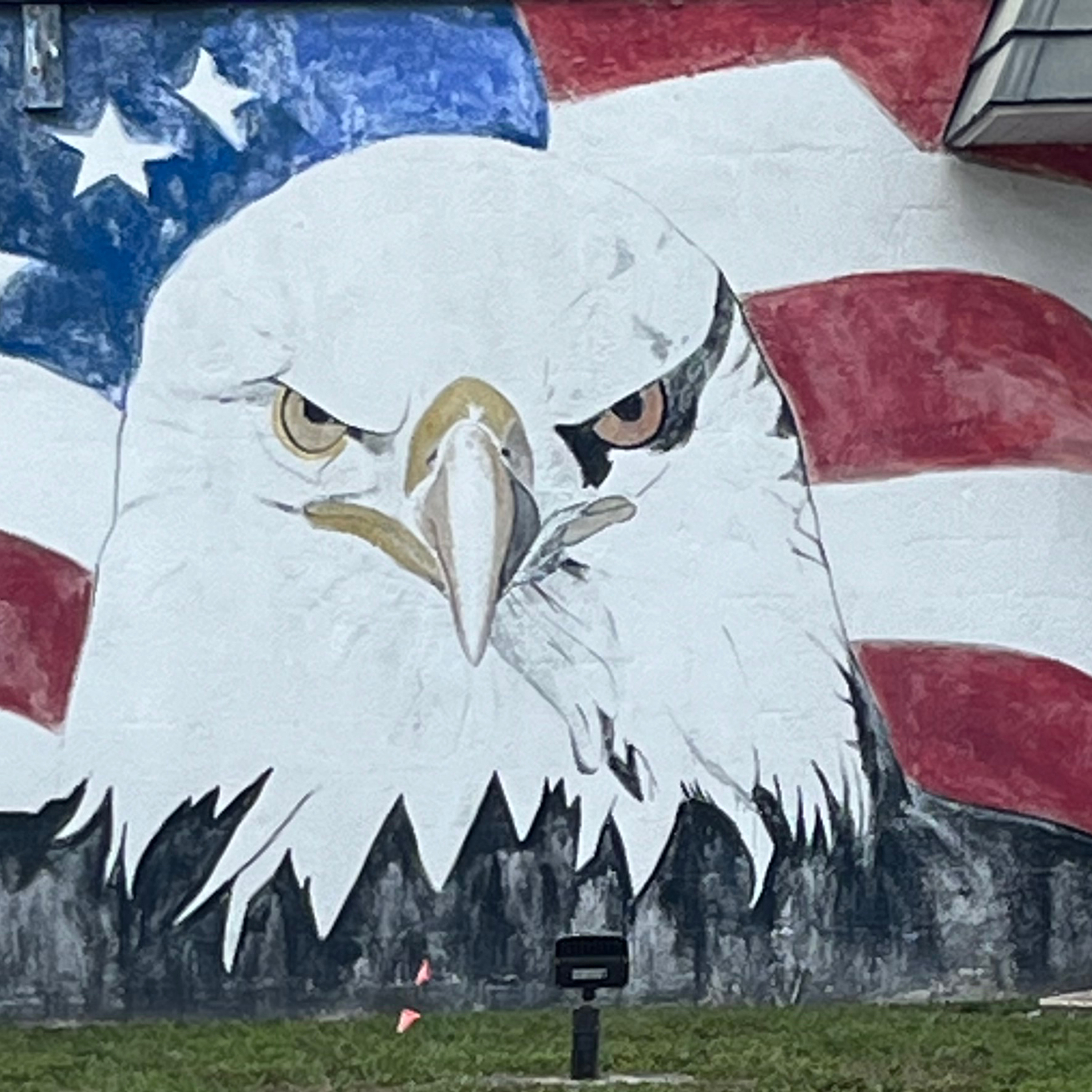 American Mascots & The Mercy Seat episode artwork