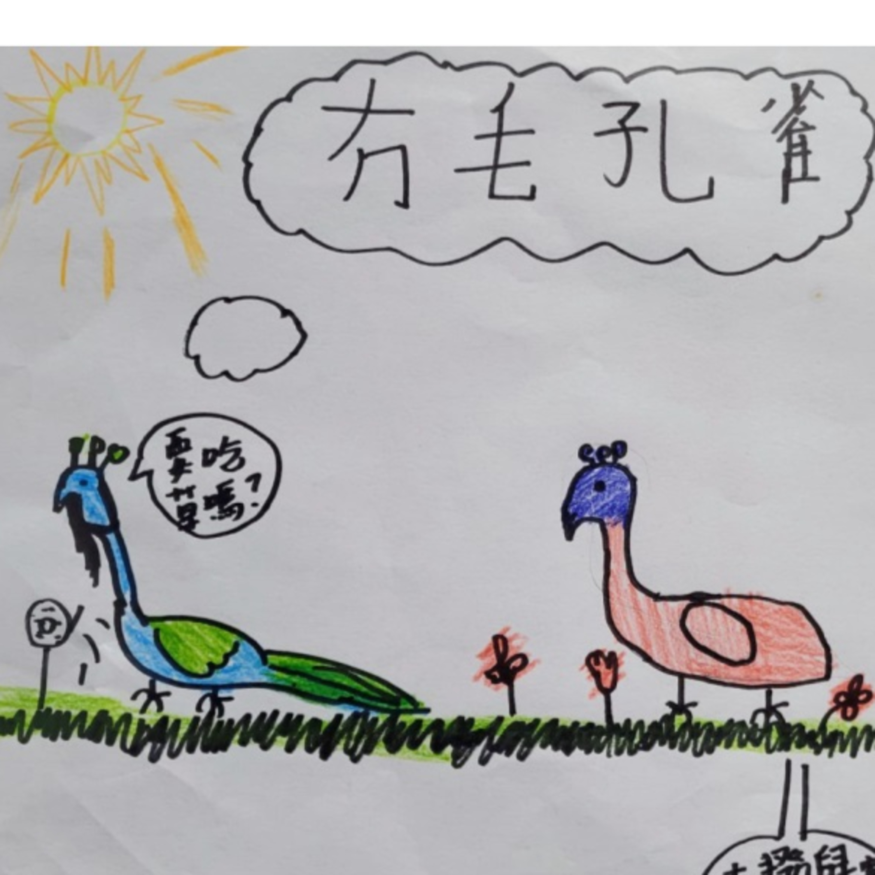 🪶《無毛孔雀》🦚 (自信/比較/自我認同)