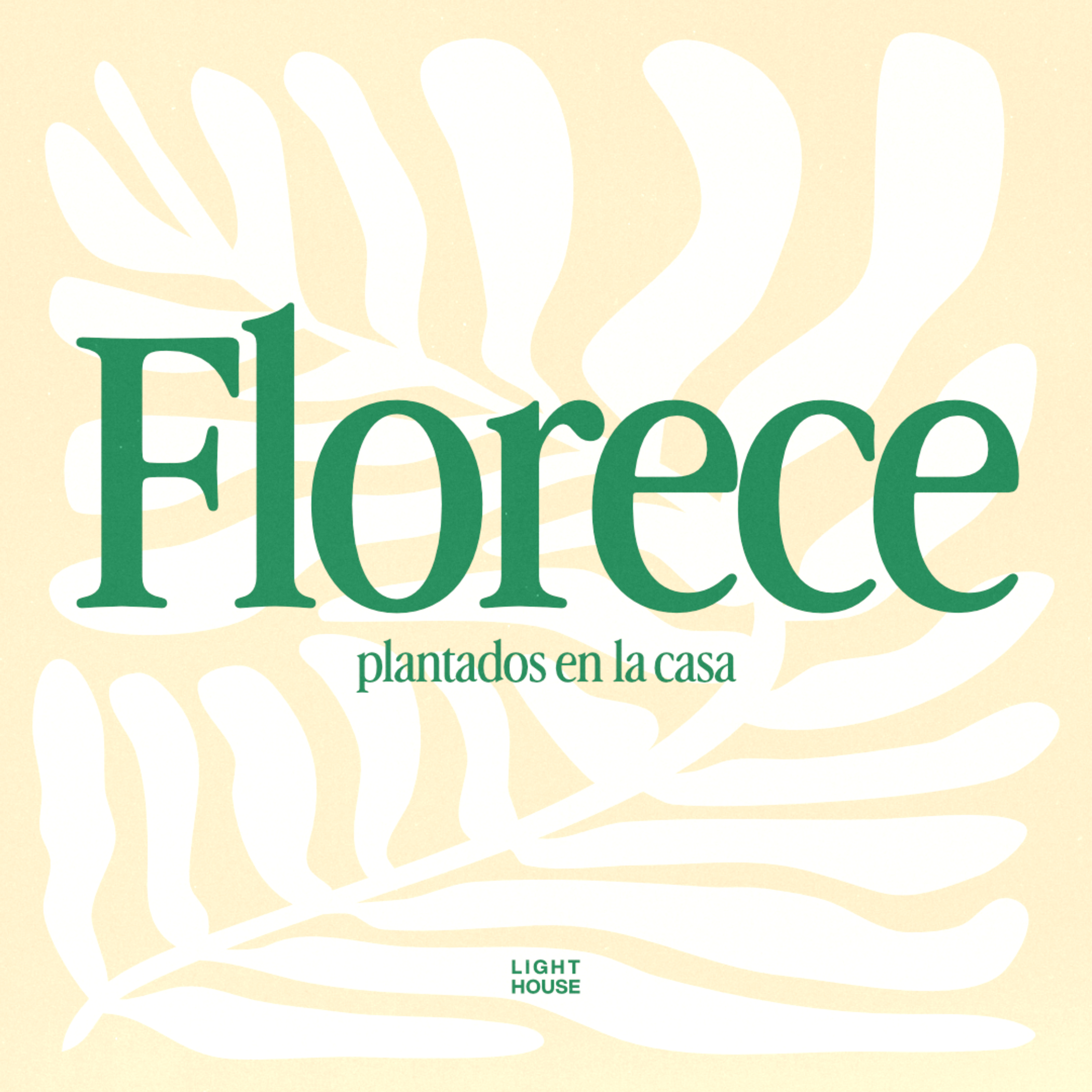 Florece - LIGHTHOUSE episode artwork
