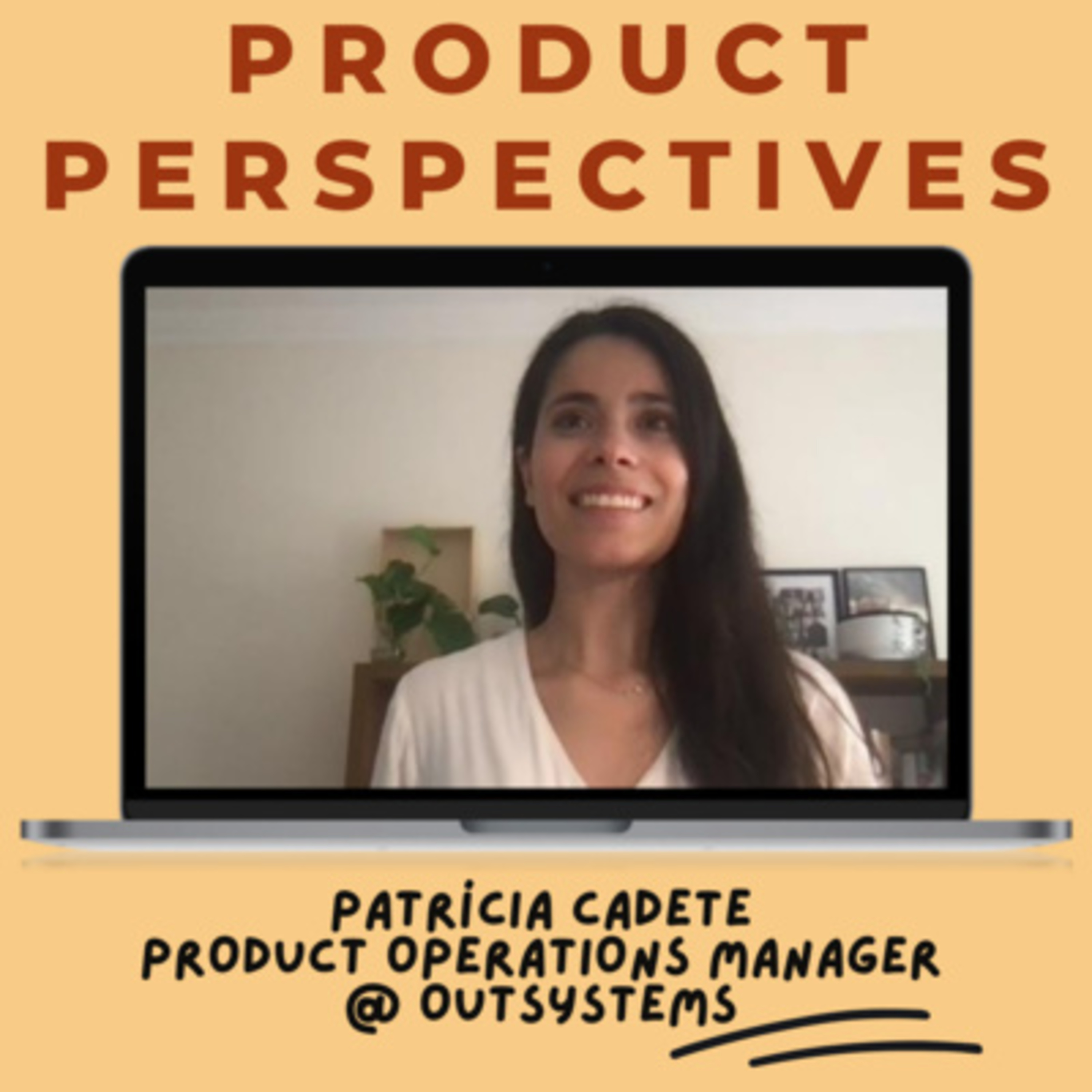 Product Perspectives