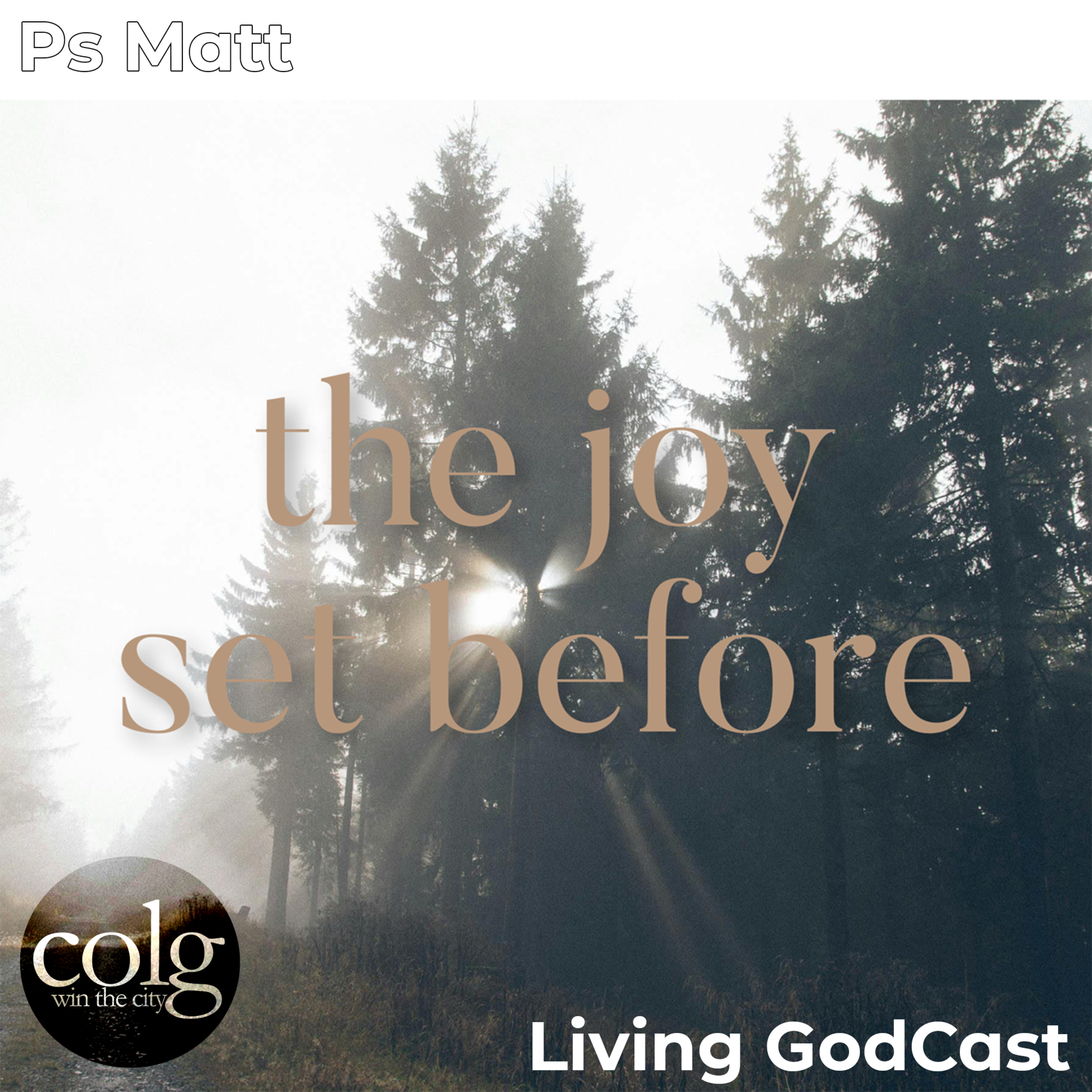 The Joy Set Before - 1/18/2026 episode artwork