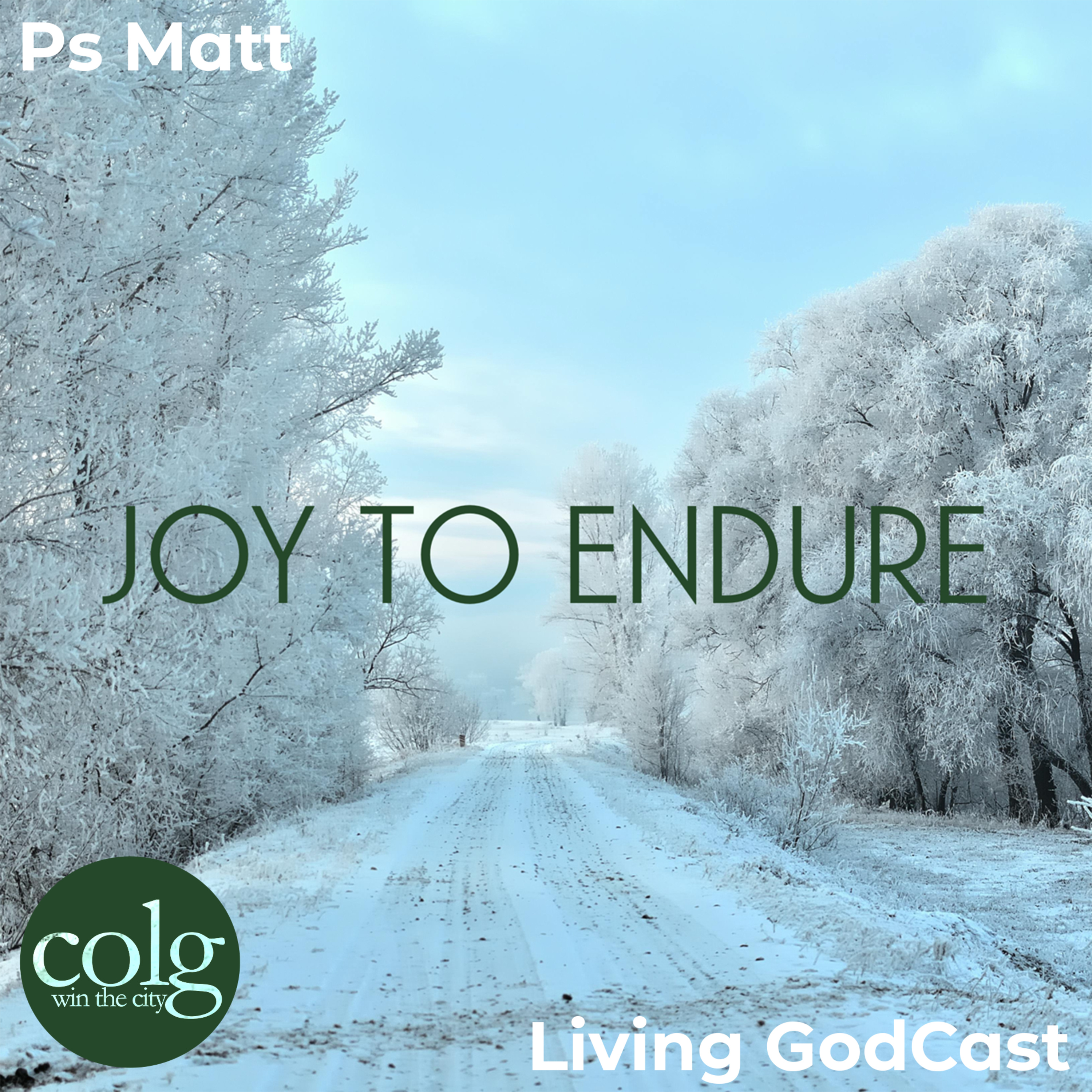 Joy to Endure (Online Only) - 1/25/2026 episode artwork