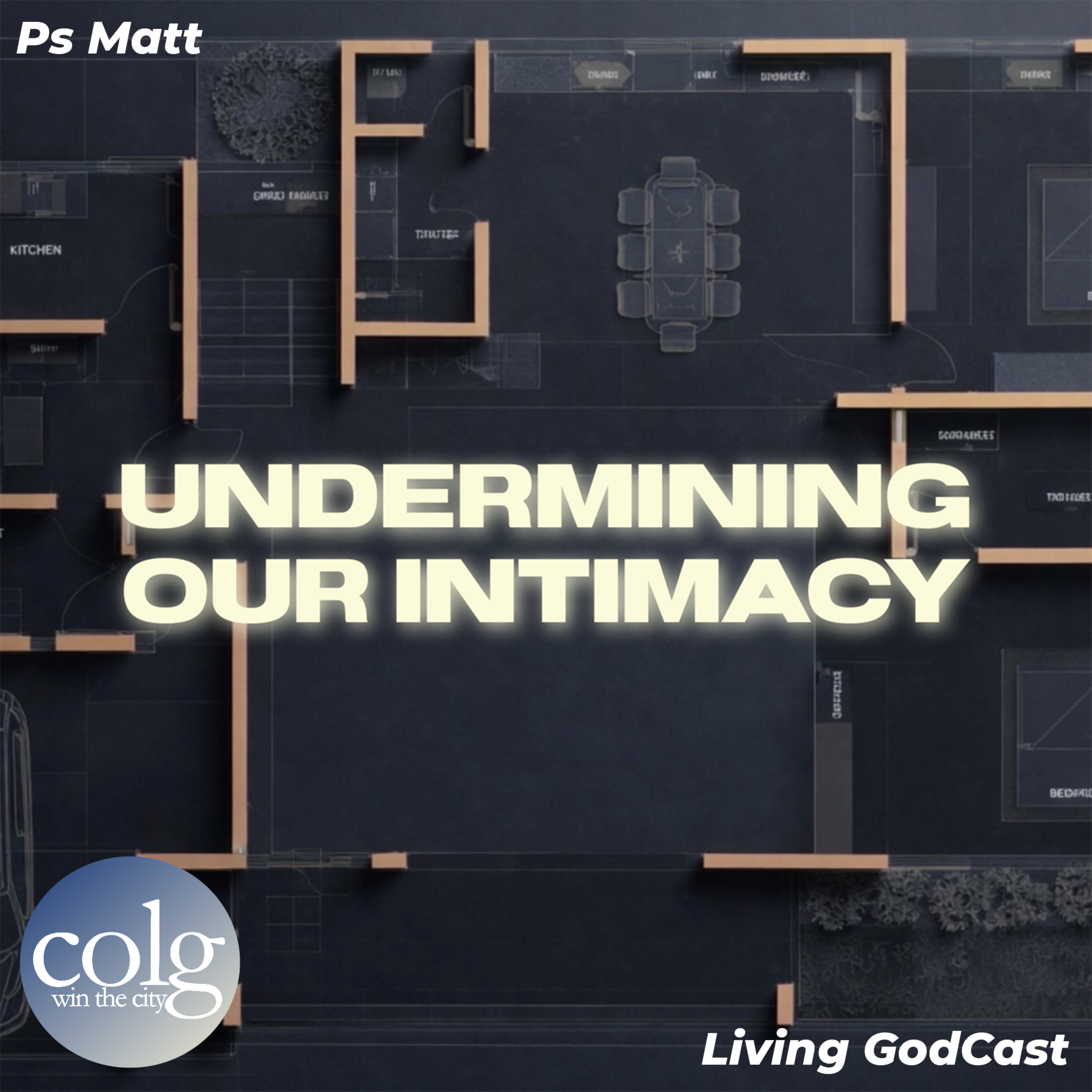 Undermining Our Intimacy - 6/28/2026 11AM episode artwork