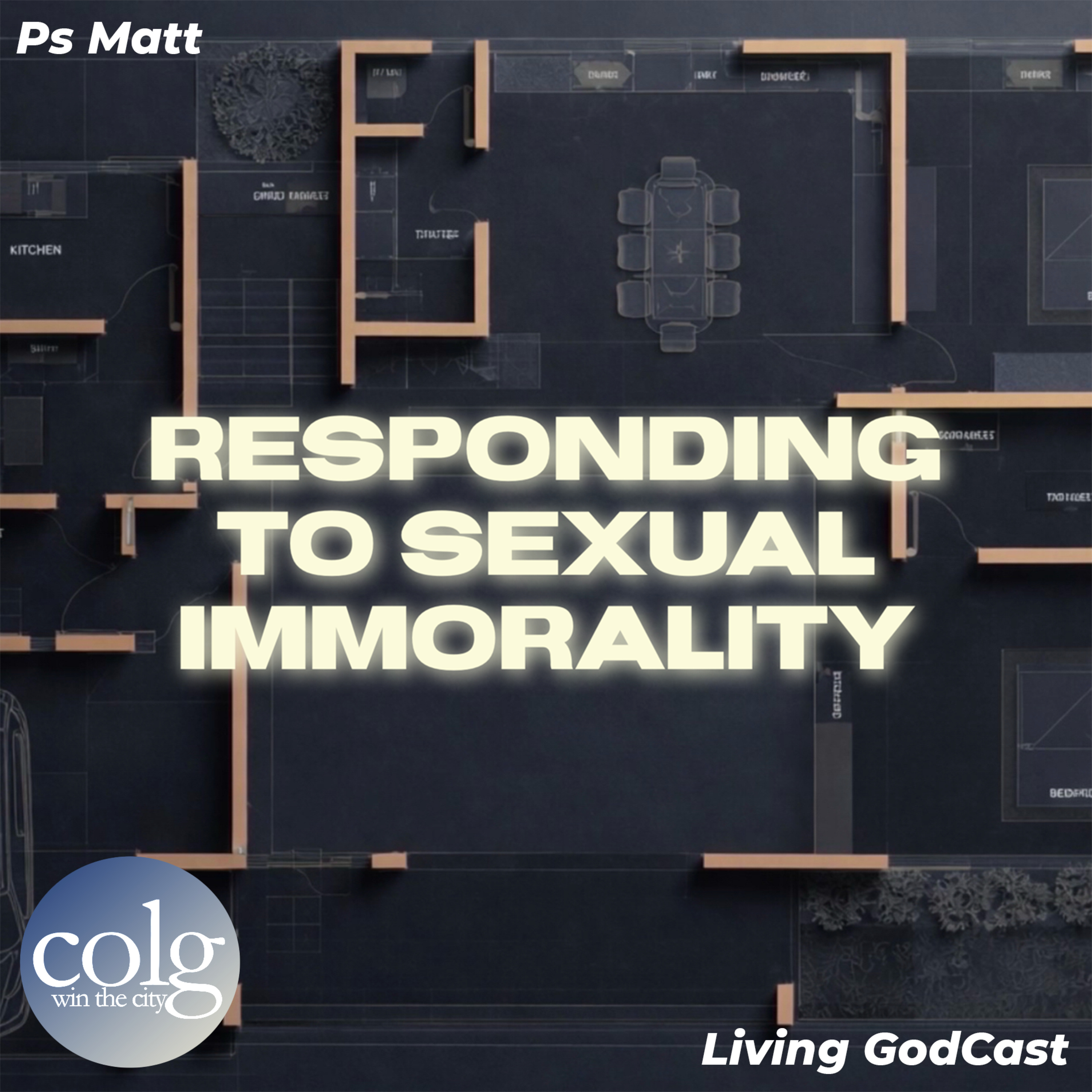 Responding to Sexual Immorality - 7/19/2026 11AM episode artwork