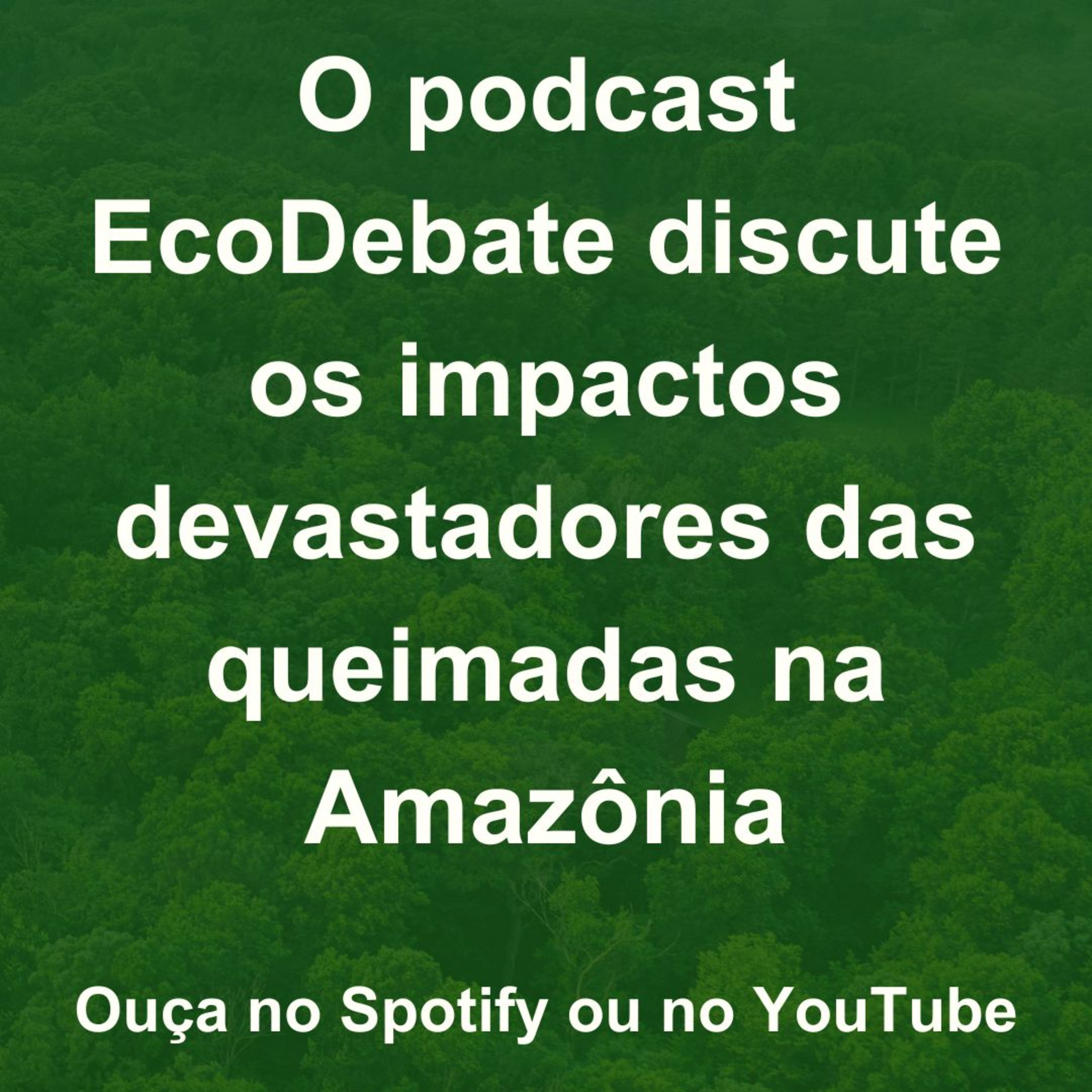 Queimadas reduzem a biodiversidade da Amazônia episode artwork