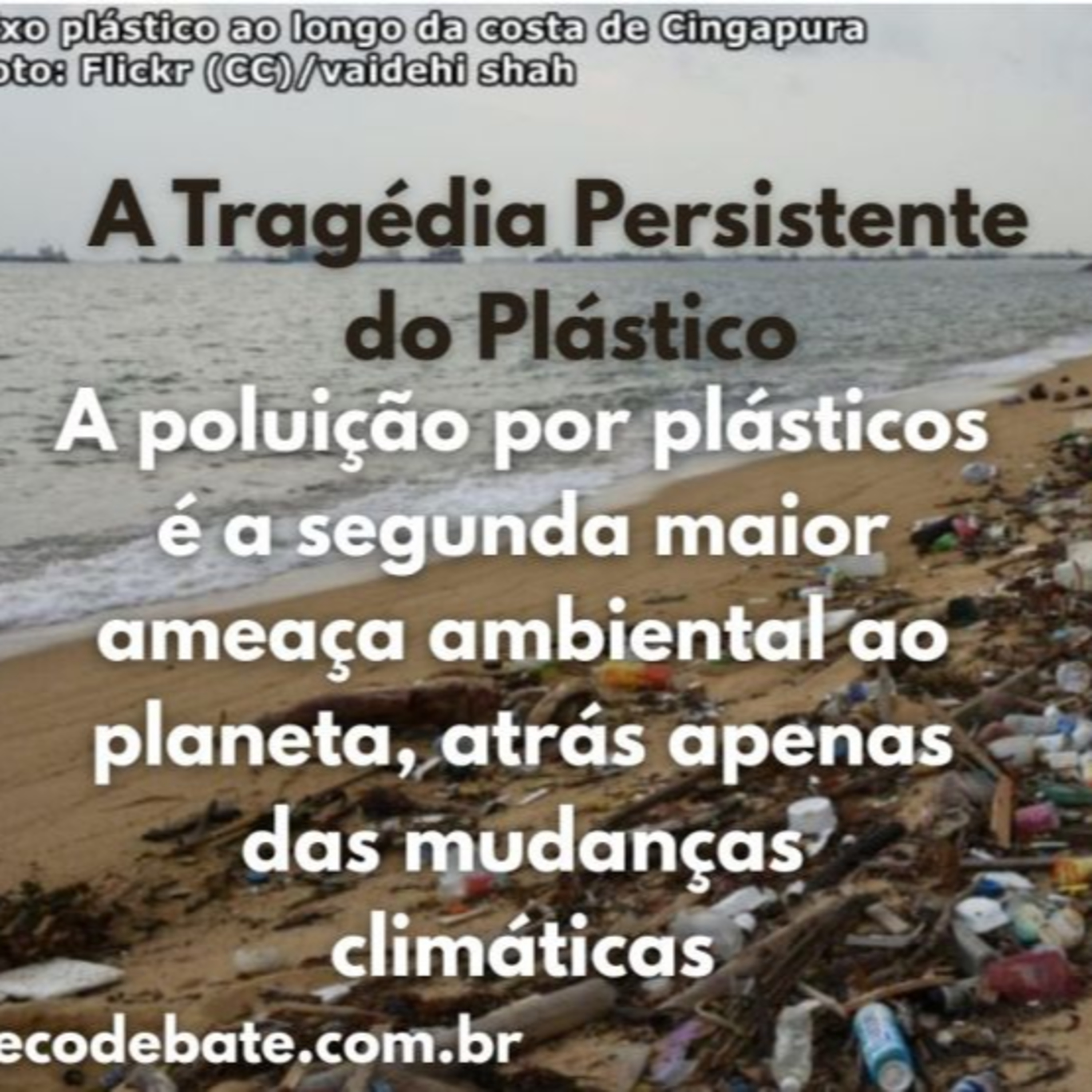 A Tragédia Persistente do Plástico episode artwork