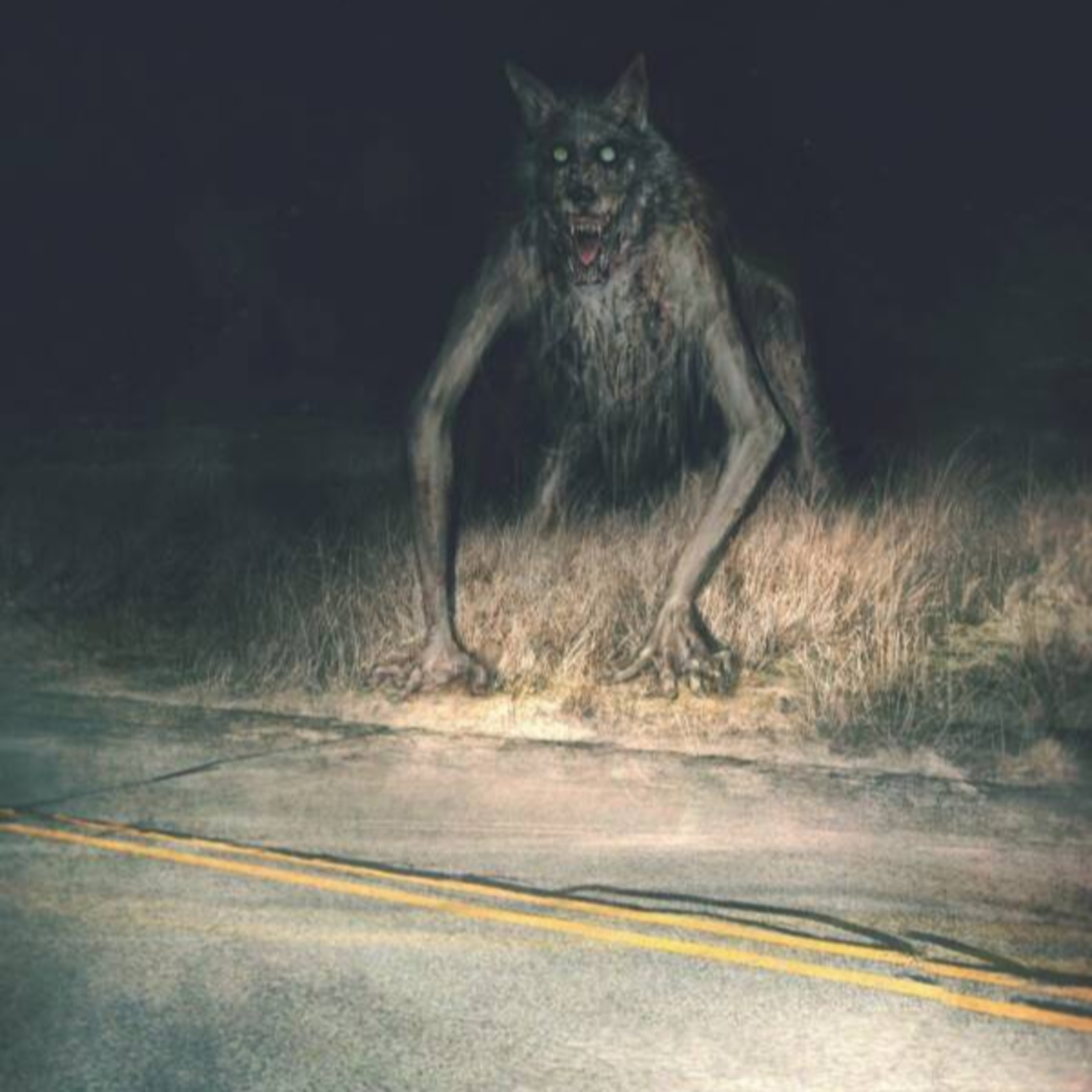 Are You Afraid of Deez?