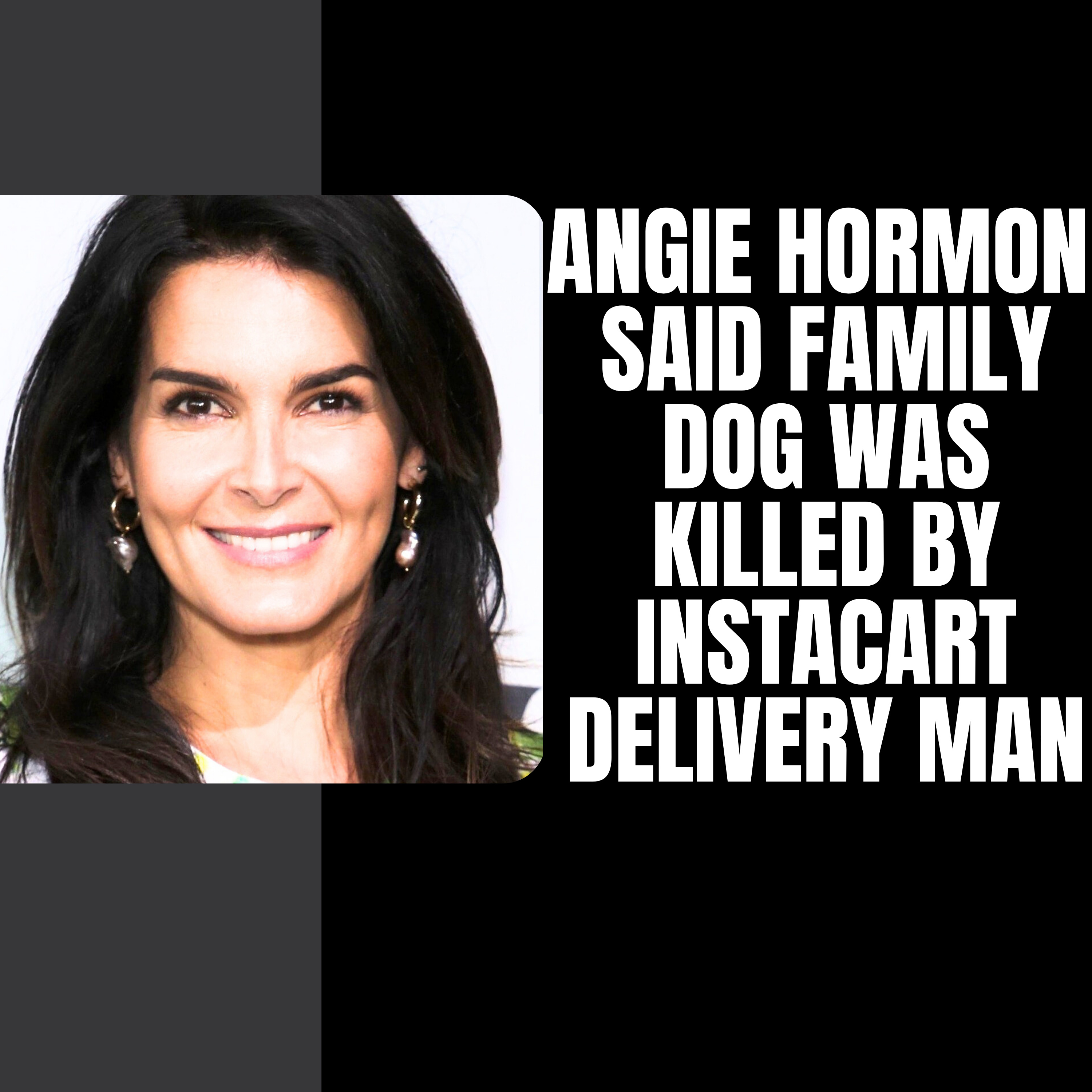 Angie Harmon sues Instacart and delivery driver who allegedly shot dog #instacart #angiehormon