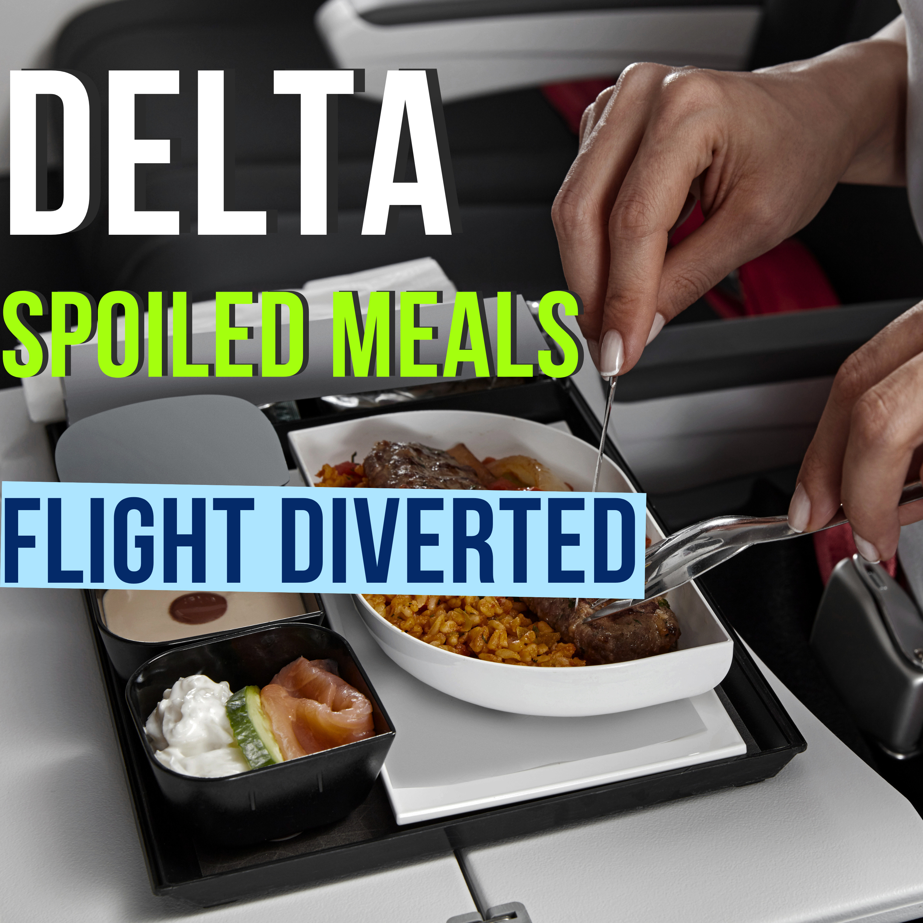 Flight diverted to JFK after passengers served spoiled food: Delta flight