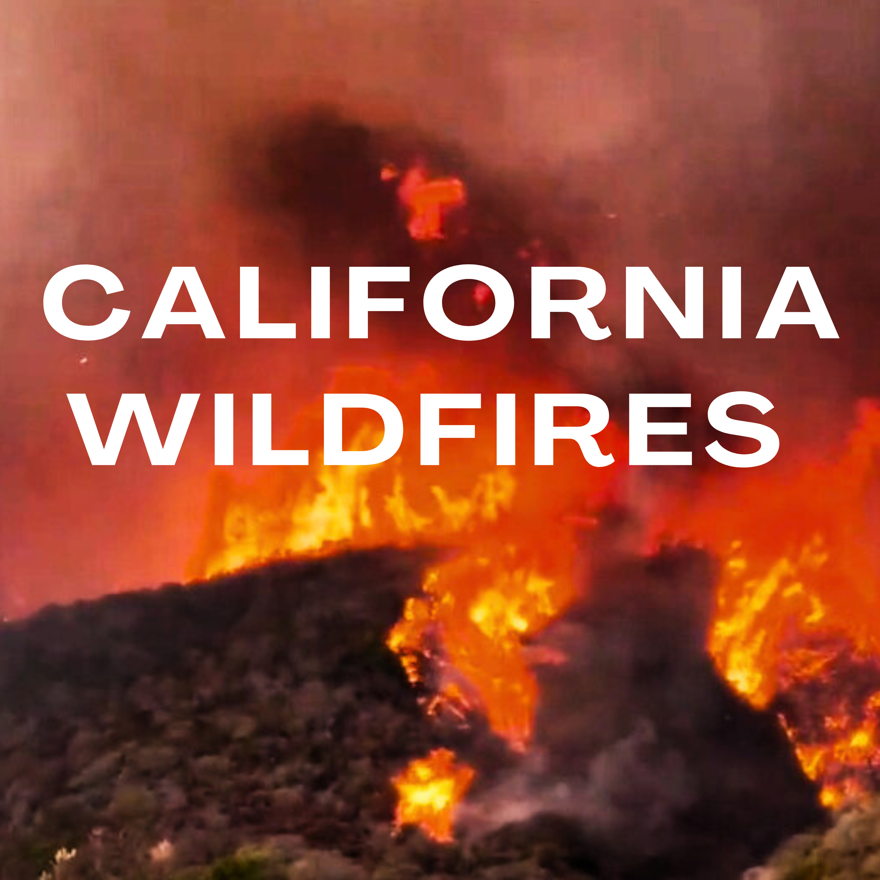 More than 6,000 homes, structures lost in Palisades, Eaton fires #californiafires #prayforcalifornia
