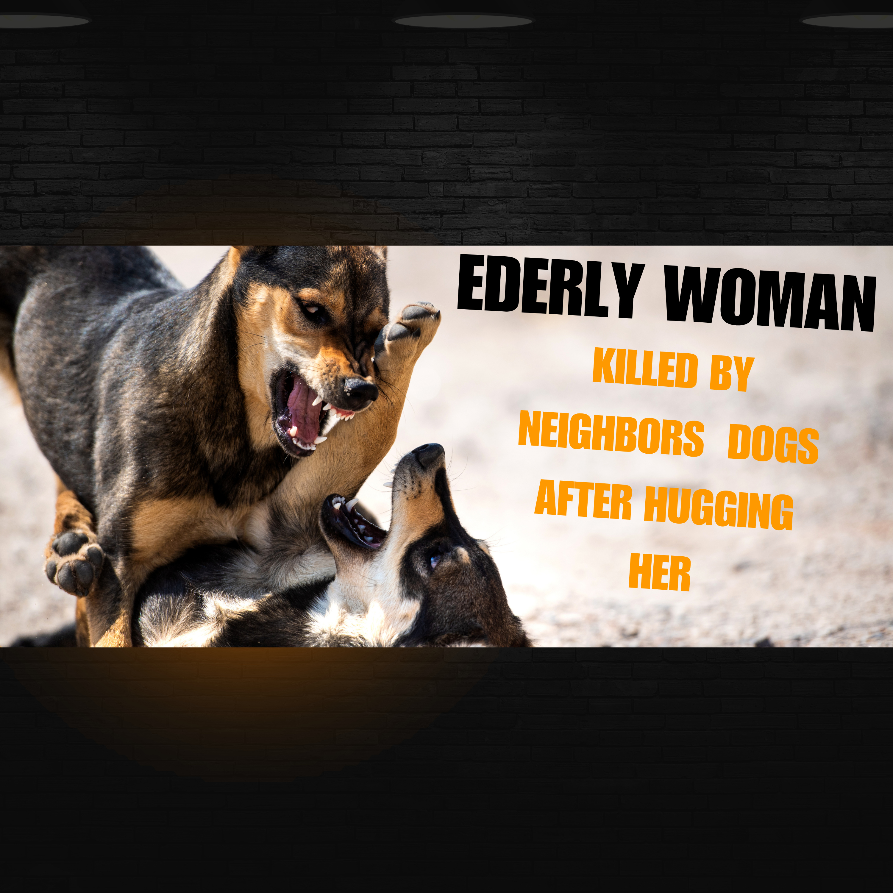 Elderly Alabama woman killed after dog attack after hugging neighbor