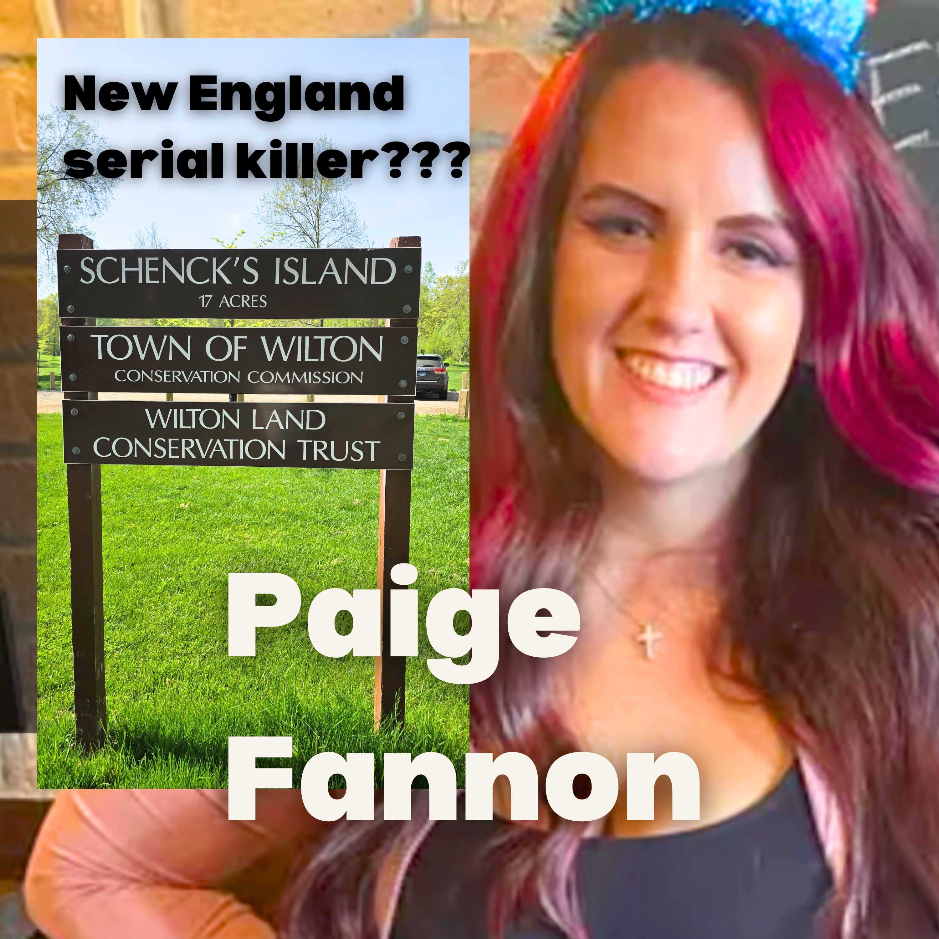 New England serial killer? 12 bodies found no official connection yet, Page Fannon Wilton CT