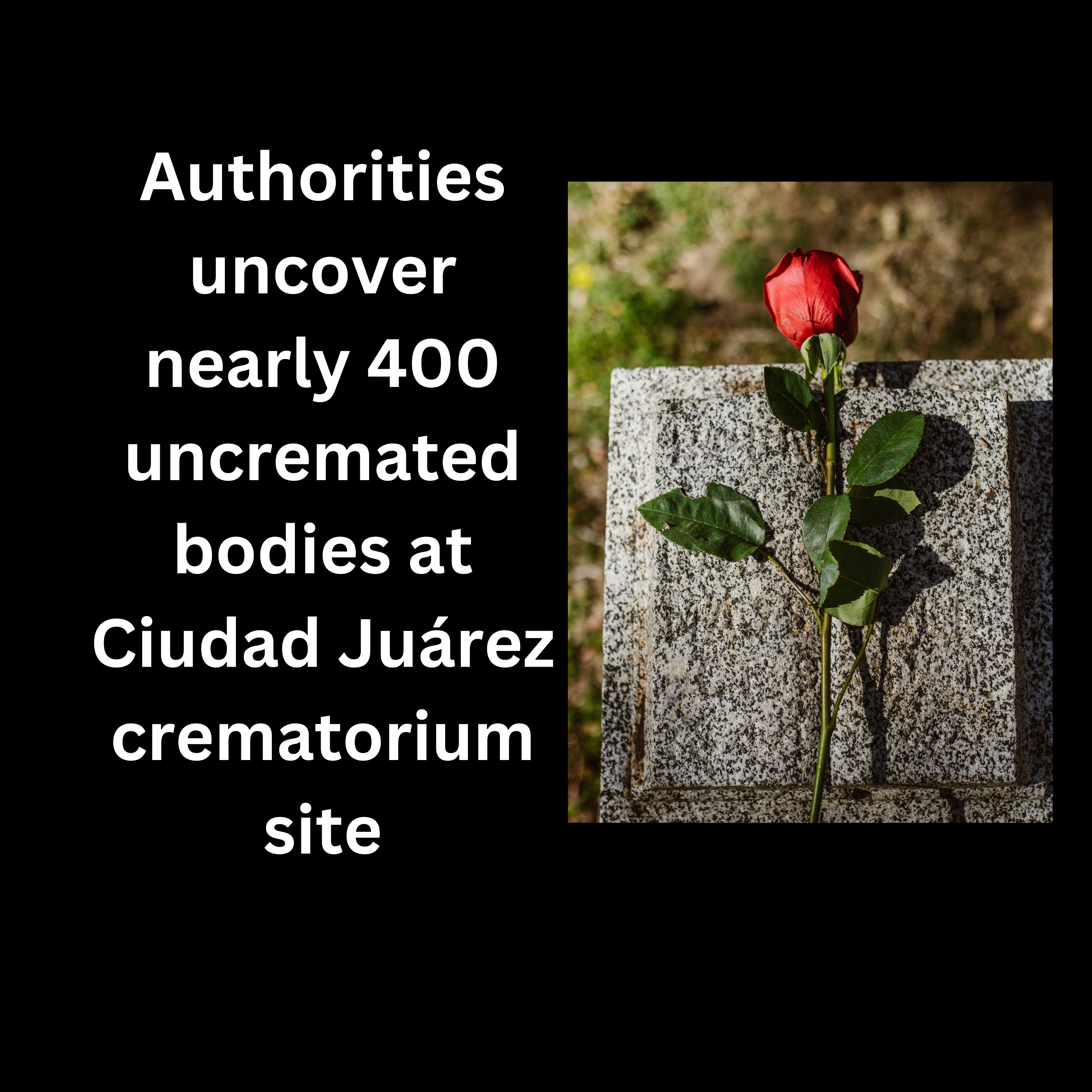 400 Human corpses found piled high in mysterious house of horrors at US-Mexico border