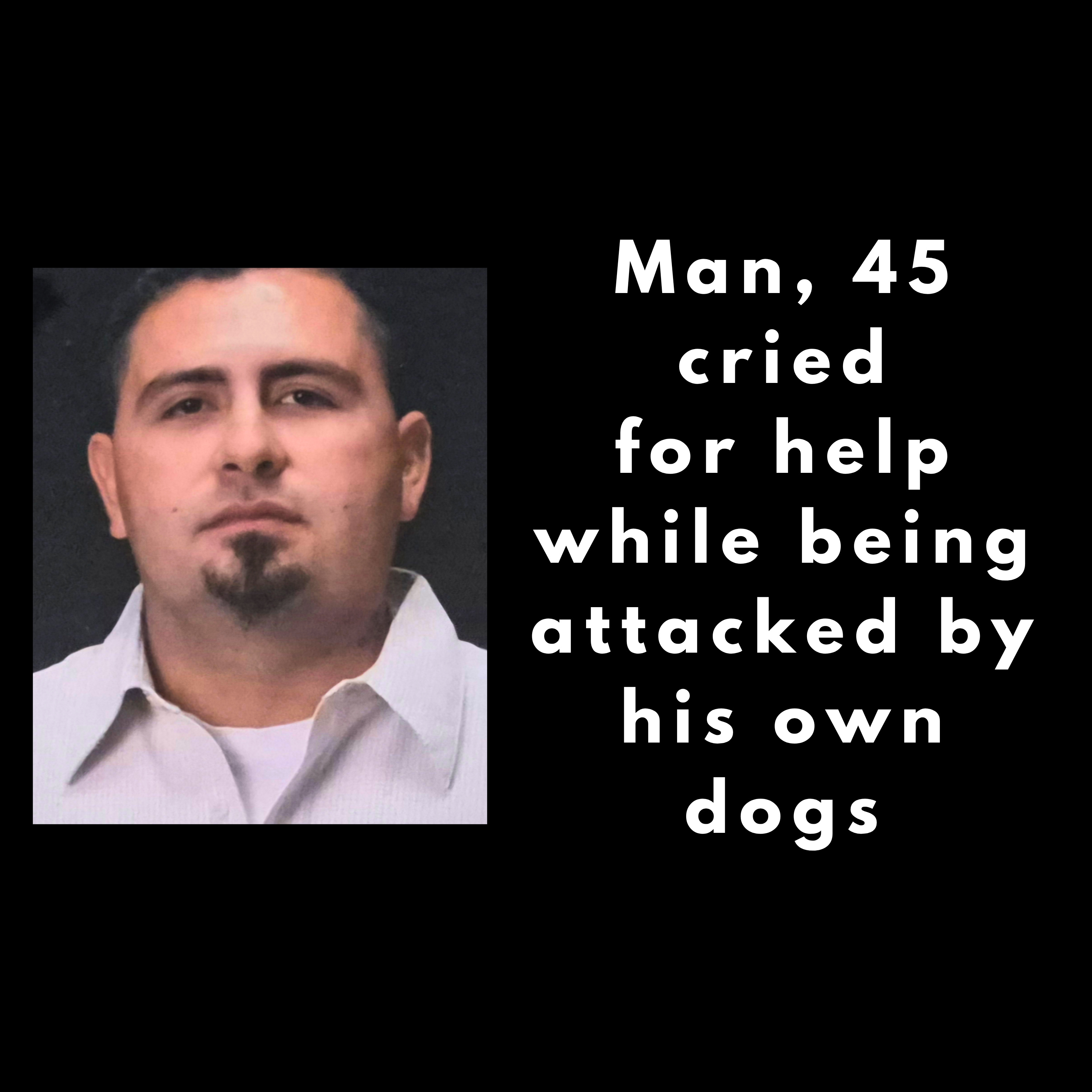 Man pleads for help as he is killed by his own dogs