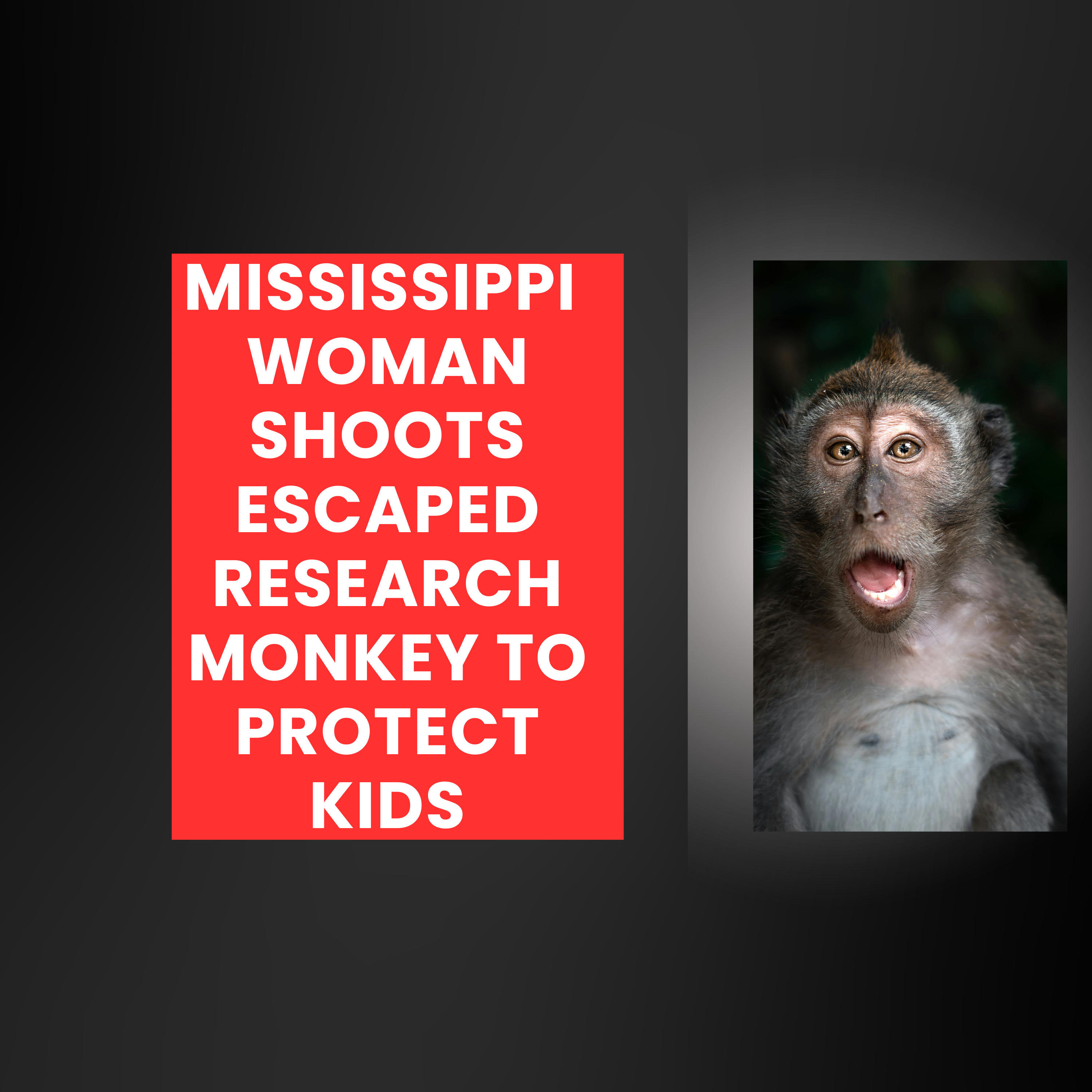 Mississippi Mother Shoots and Kills missing monkey to protect kids #breakingnews #Mississippi