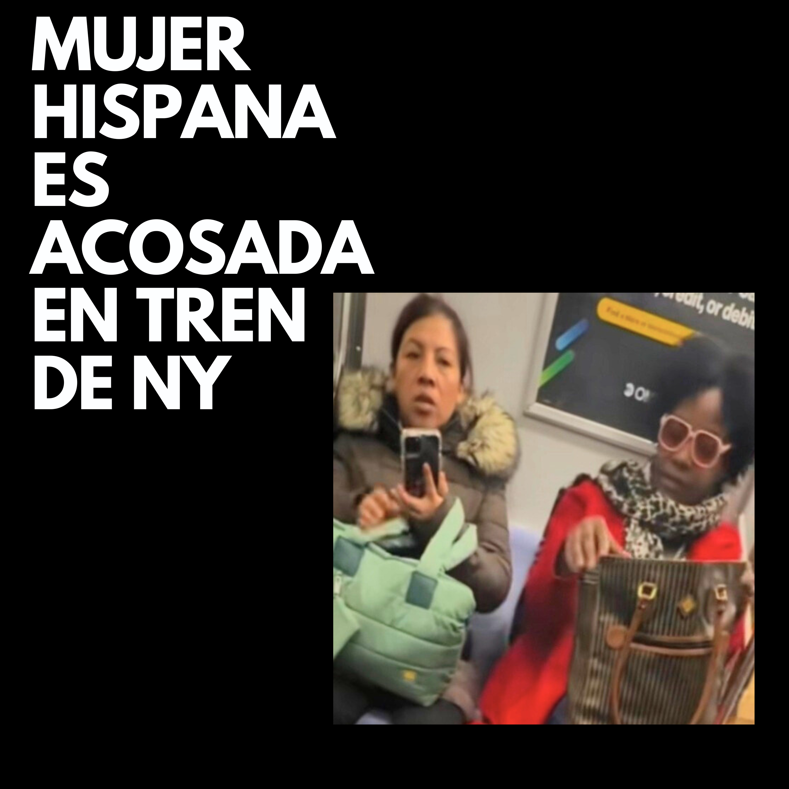 Mujer Hispana subre acoso racial en tren de Nueva Yol