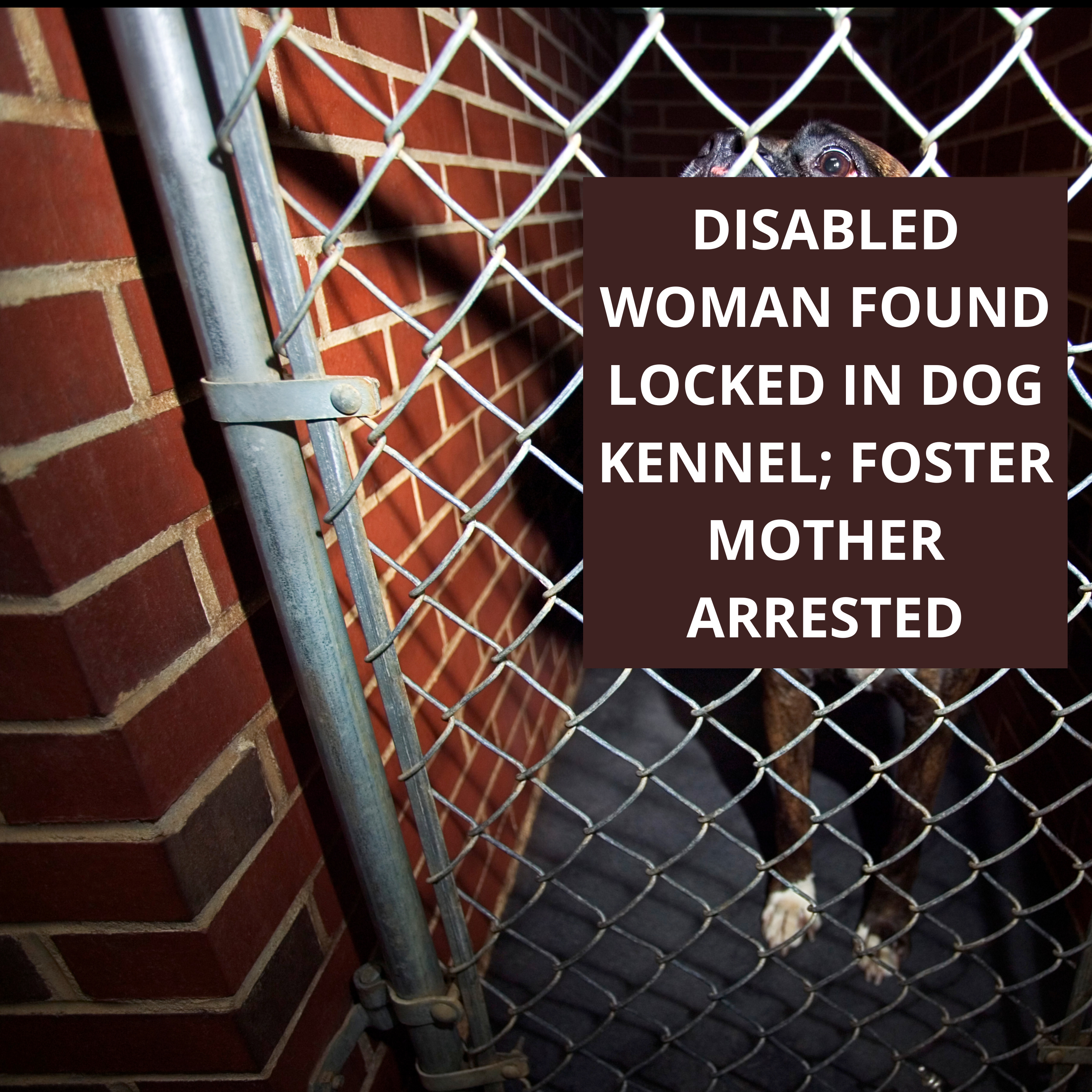 Disabled woman found locked in dog kennel; foster mother arrested