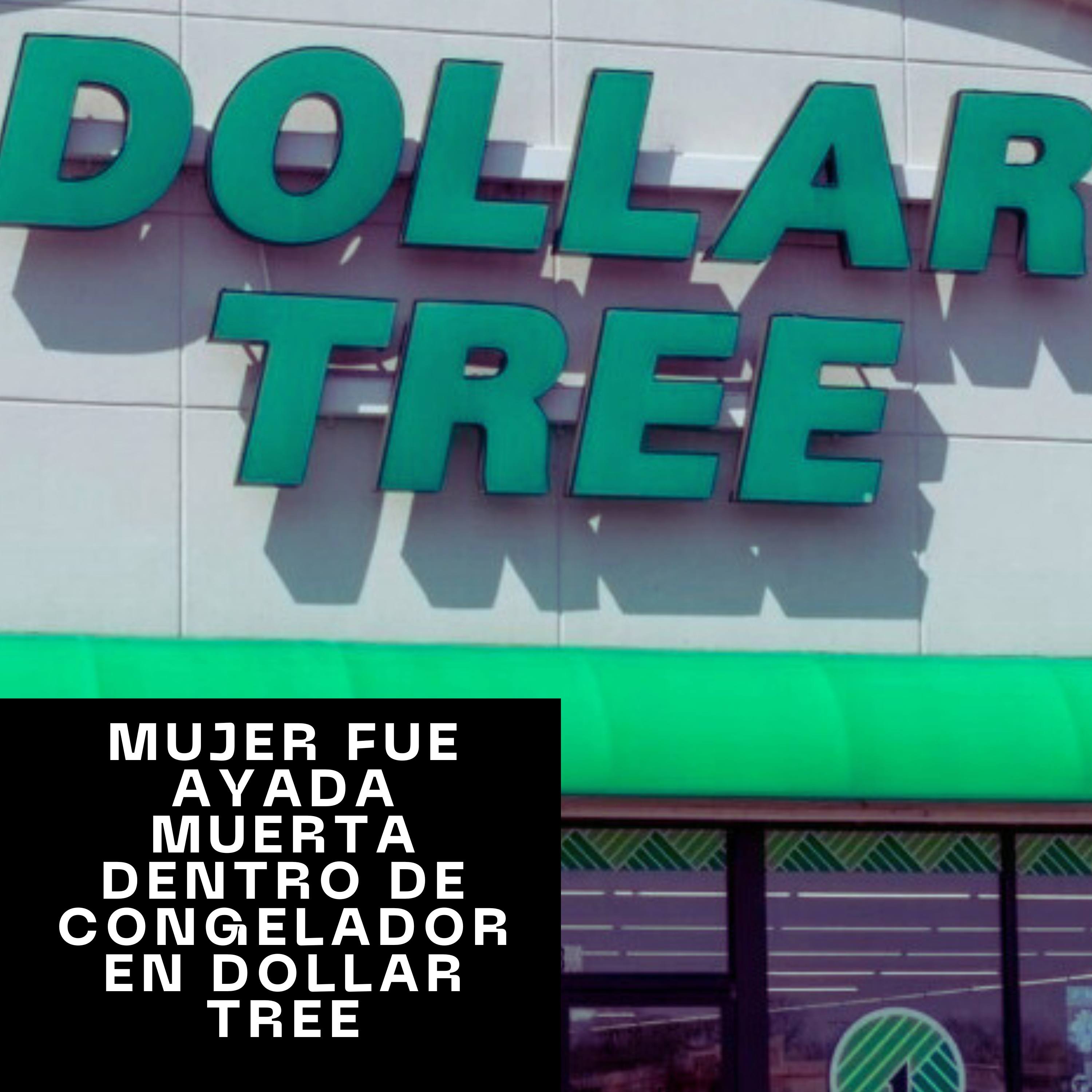Mujer fue ayada muerta dentro de congelador en dollar tree