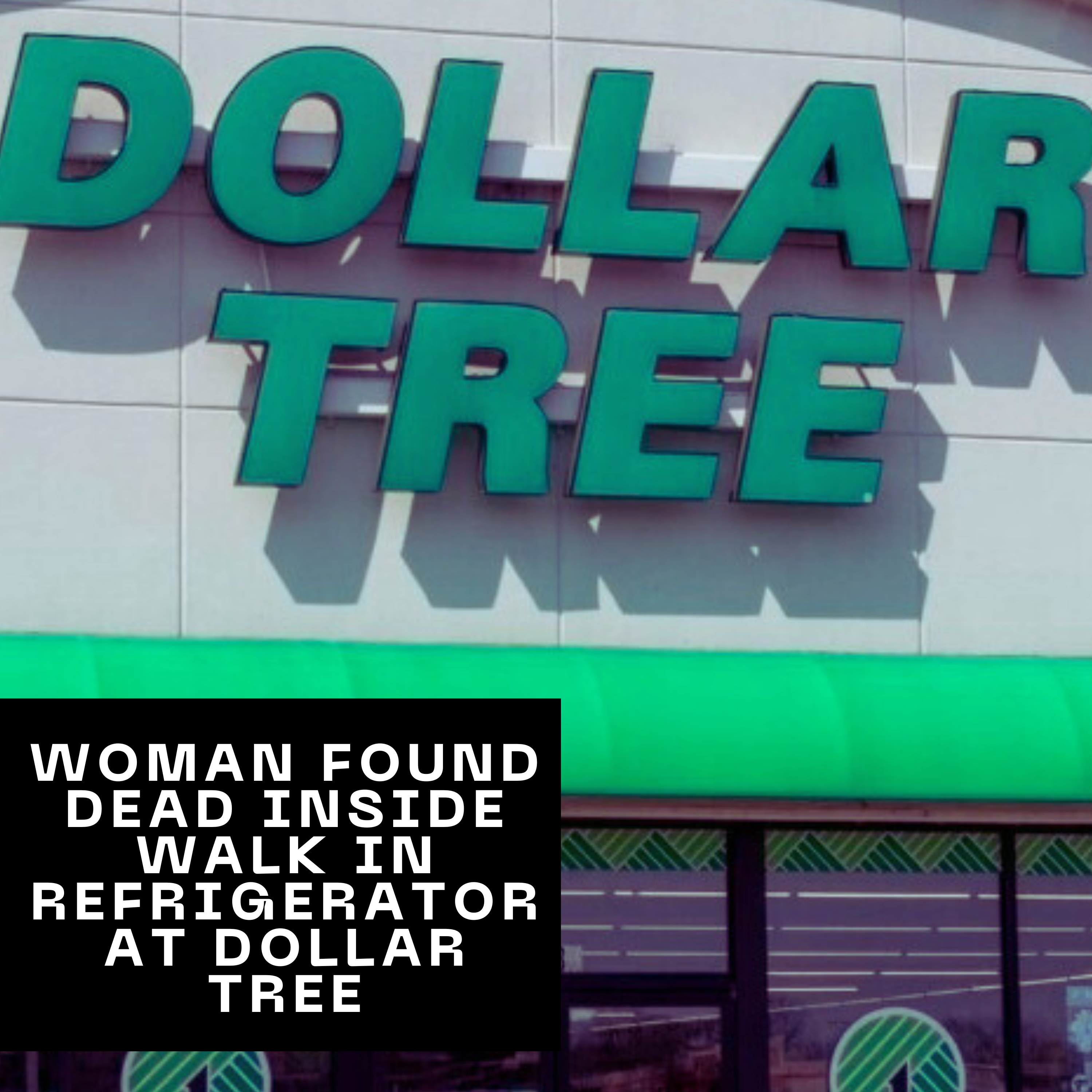 Woman found inside Dollar Tree Refrigerator was being followed? Gofundme campaign paused?