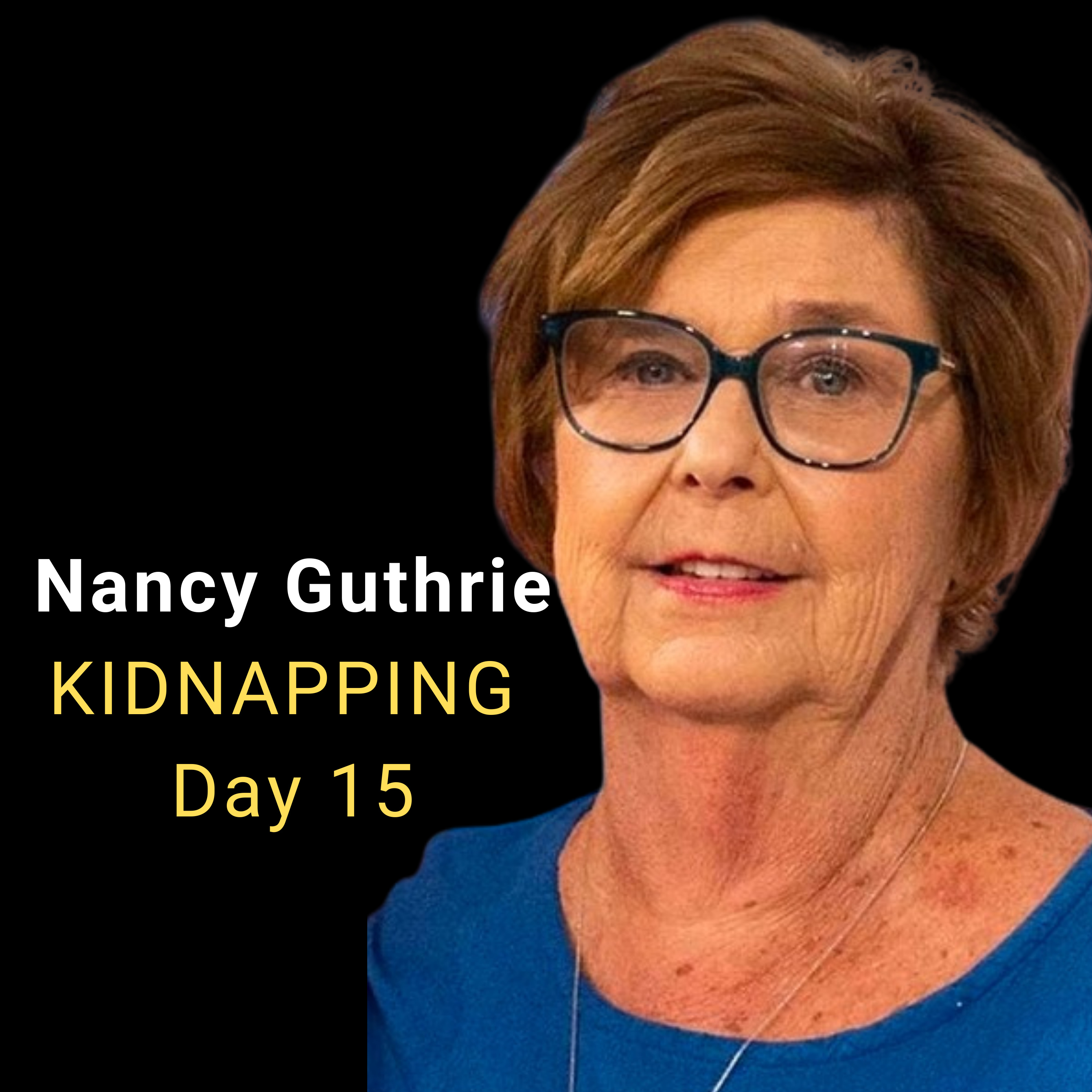 Nancy Guthrie Kidnapping case update , Day 15 episode artwork