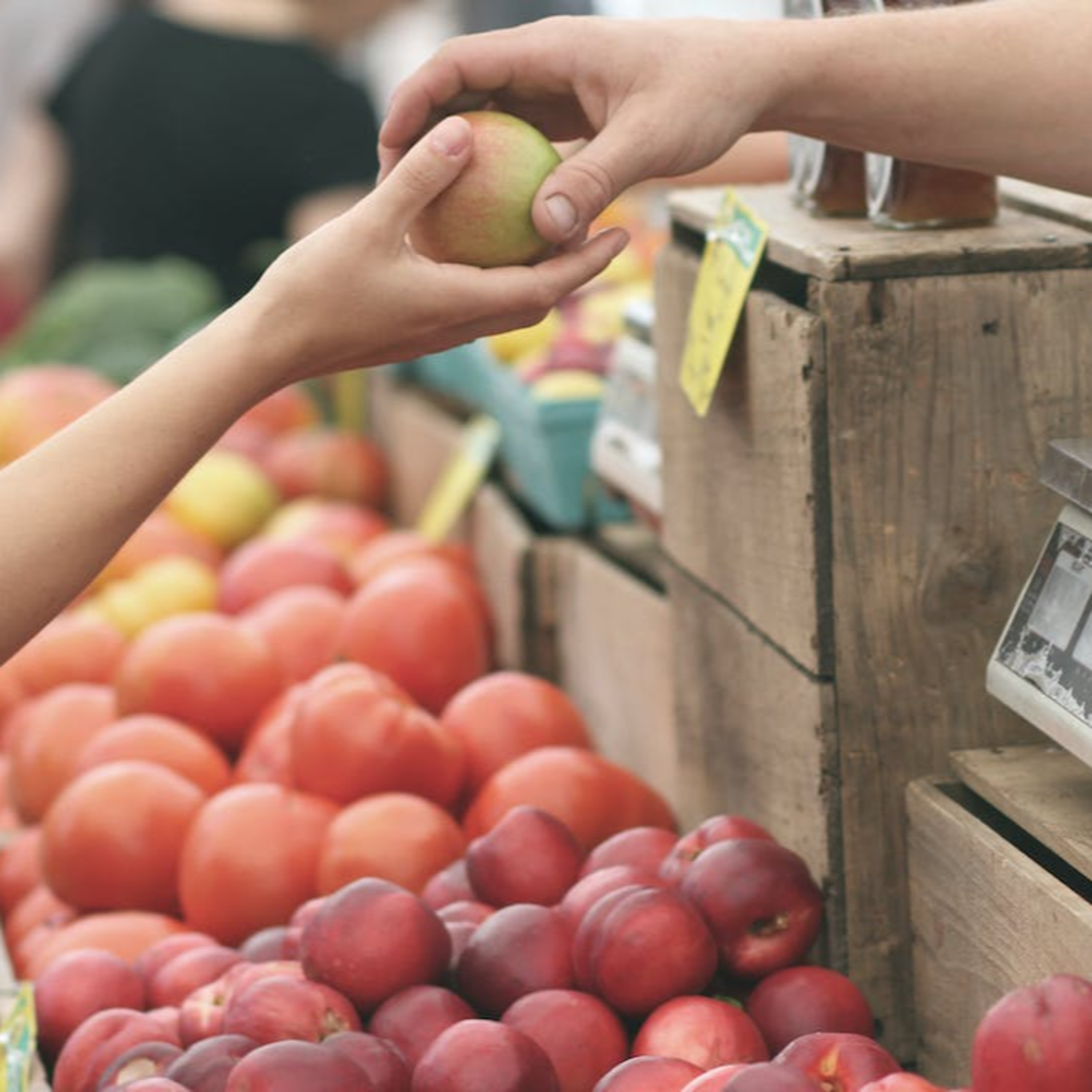 Inclusive Farm Bill Advocacy: Advancing Food Justice for All with Christina Wong episode artwork
