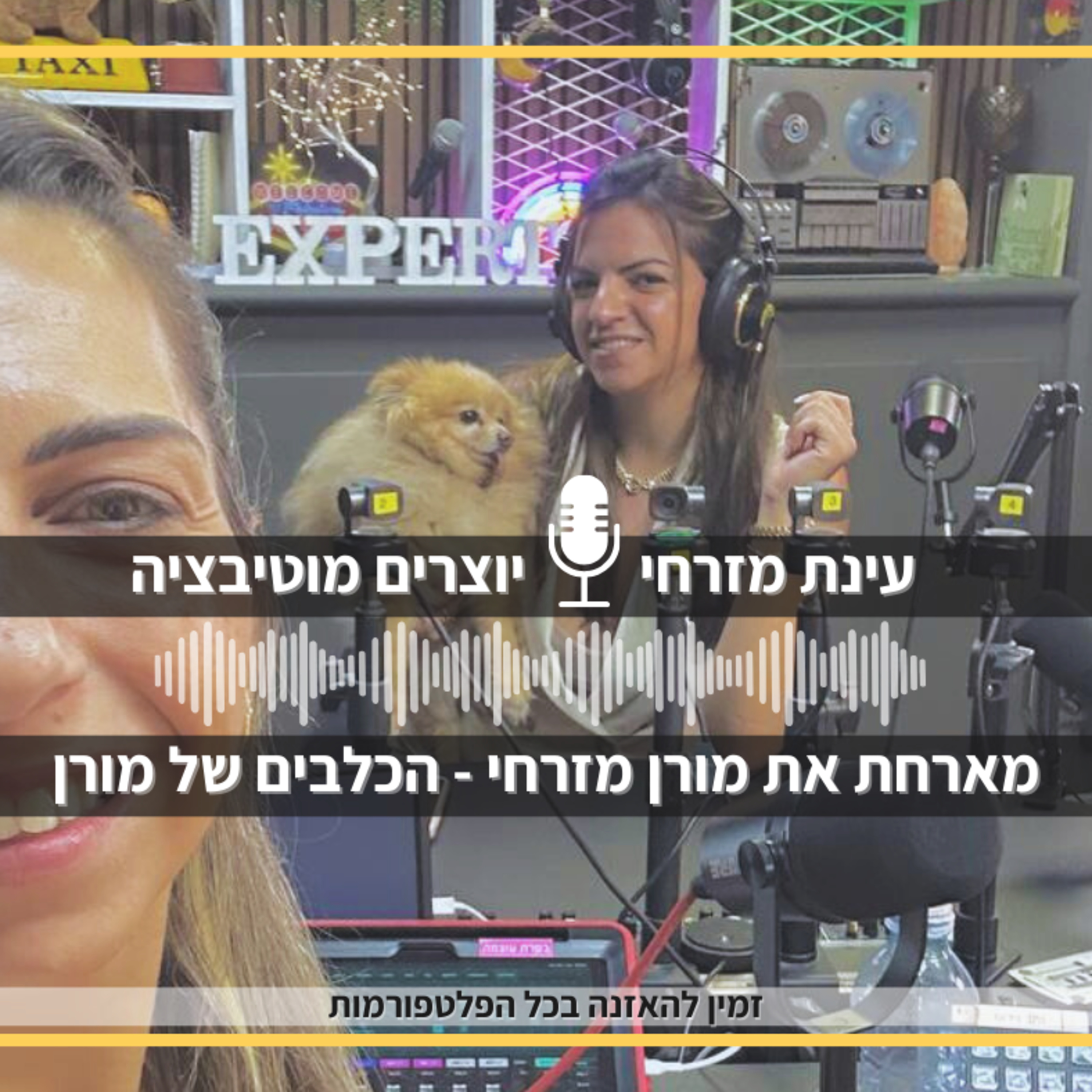    פרק 66 – הצלת כלבים, הקמת עמותה, שיווק ומוטיבציה – עם אחותי המלאכית של הכלבים מורן מזרחי 