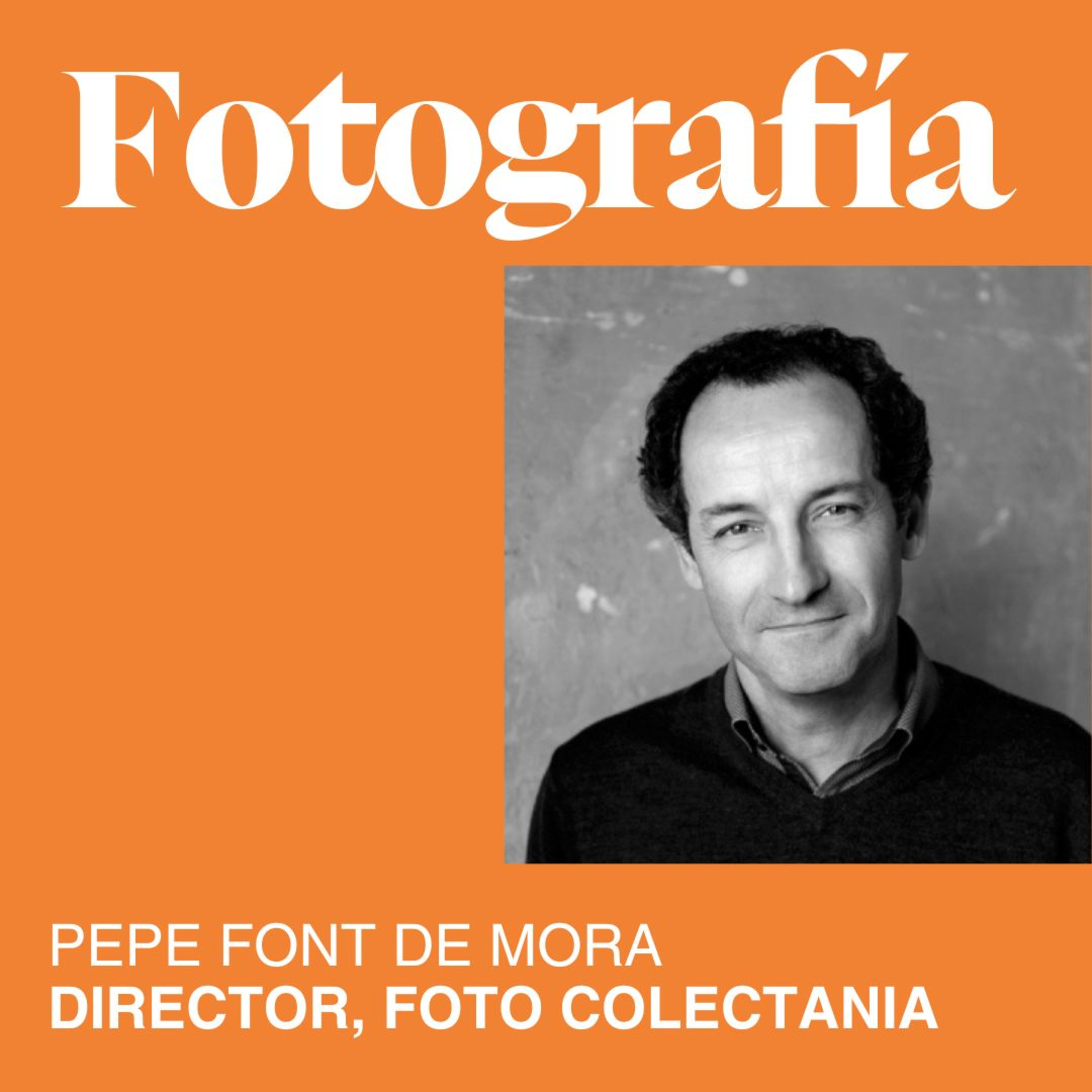 El MUNDO DEL ARTE