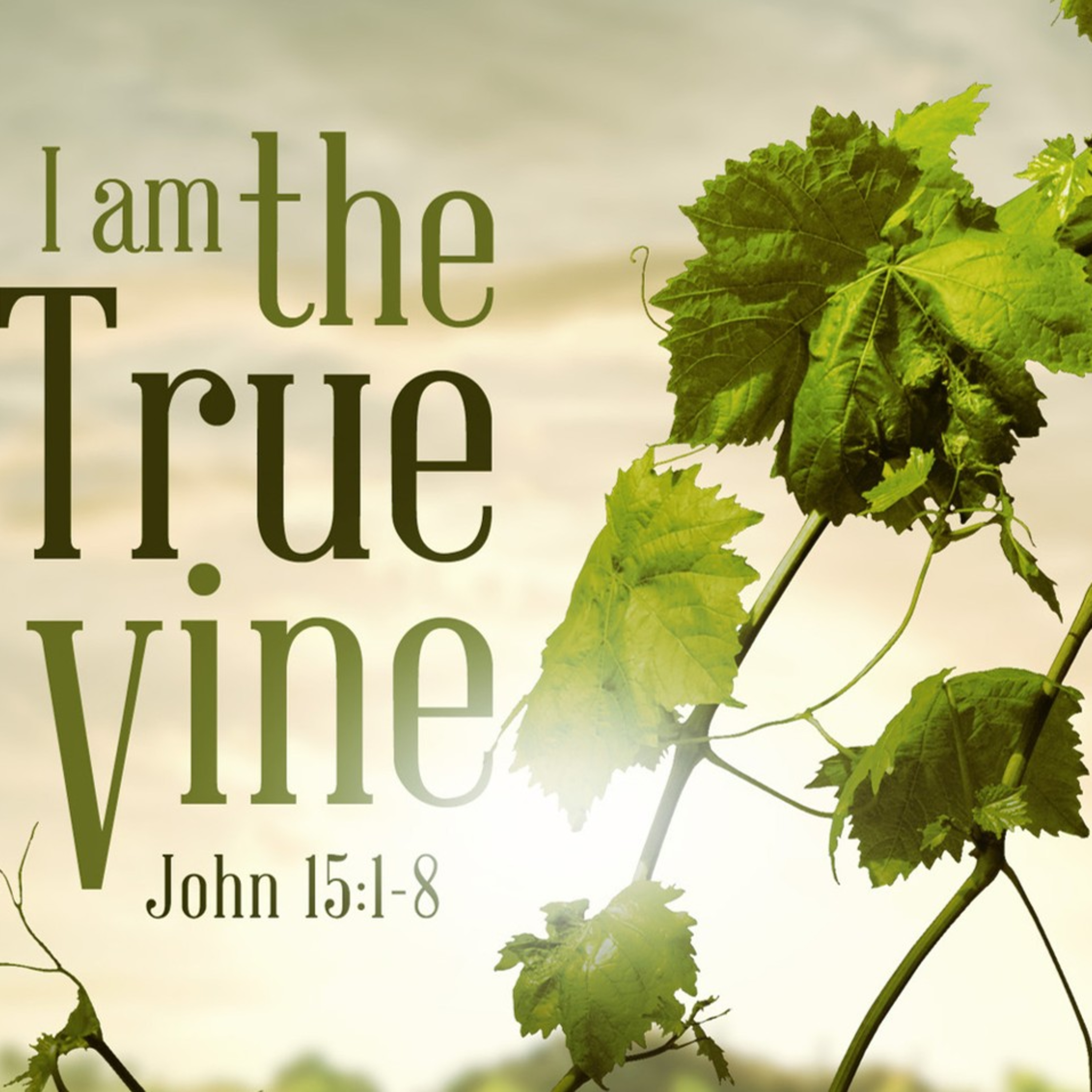 I Am the True Vine episode artwork