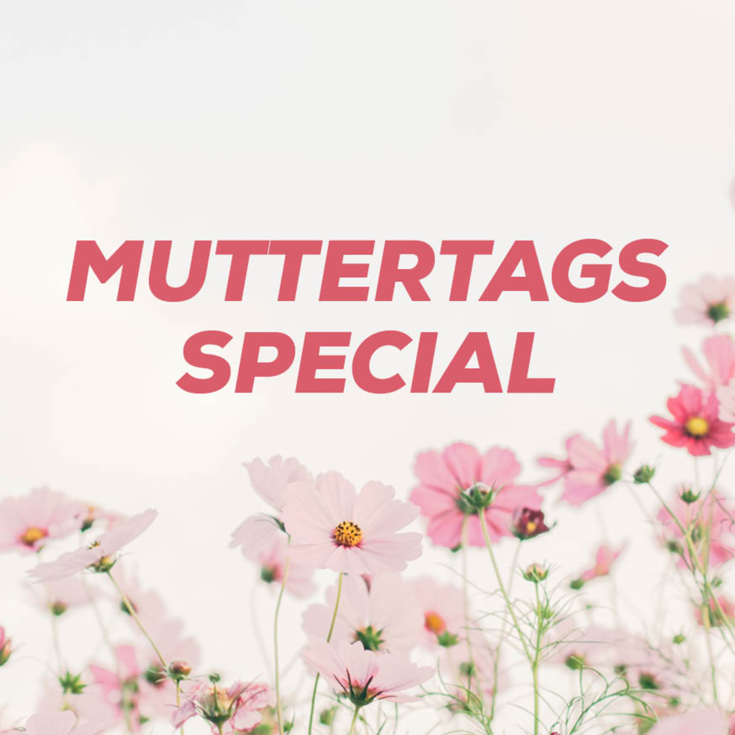 Stefan Striefler I Muttertag episode artwork