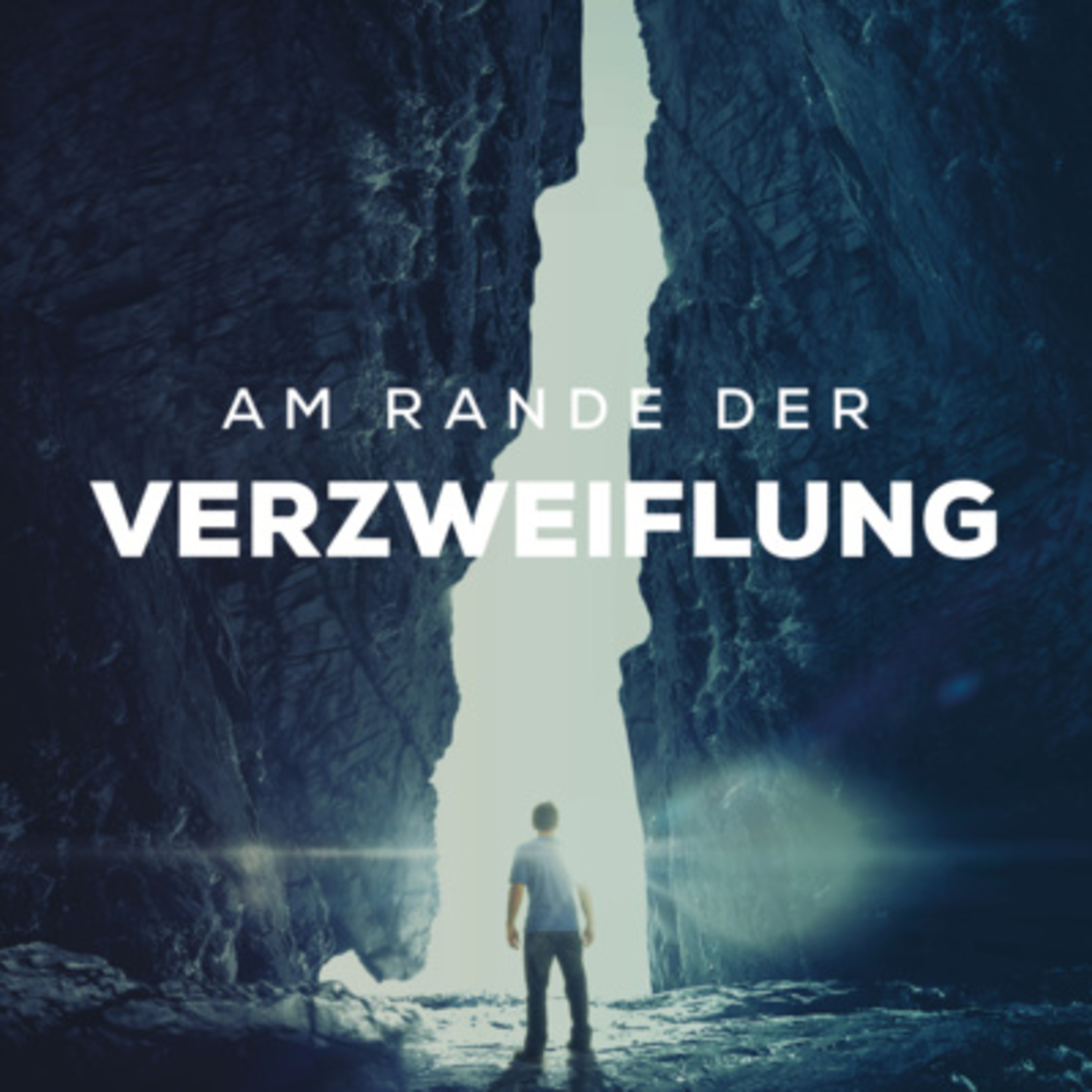 Stefan Striefler l Am Rande der Verzweiflung  episode artwork