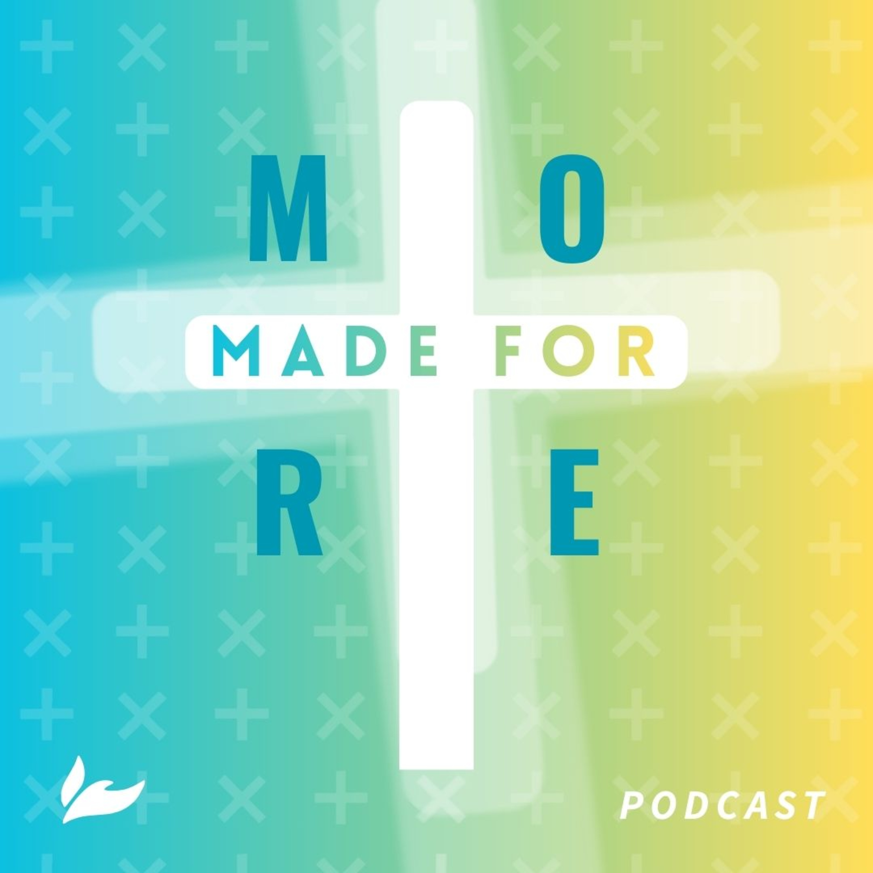 Discipleship Requires Surrender episode artwork