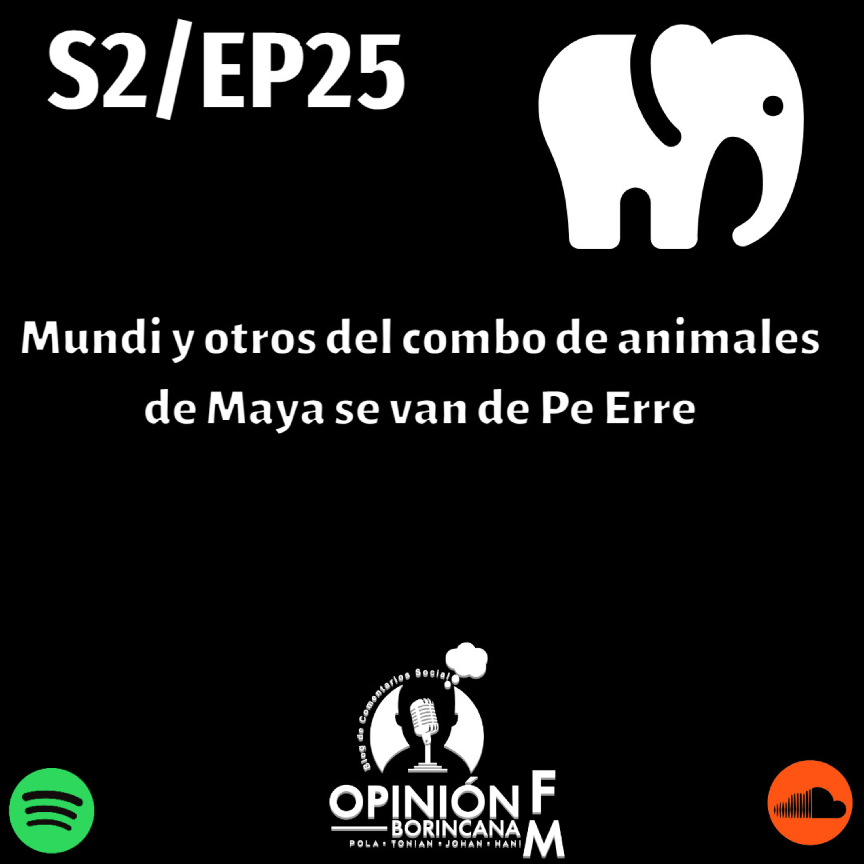 Opinión Borincana