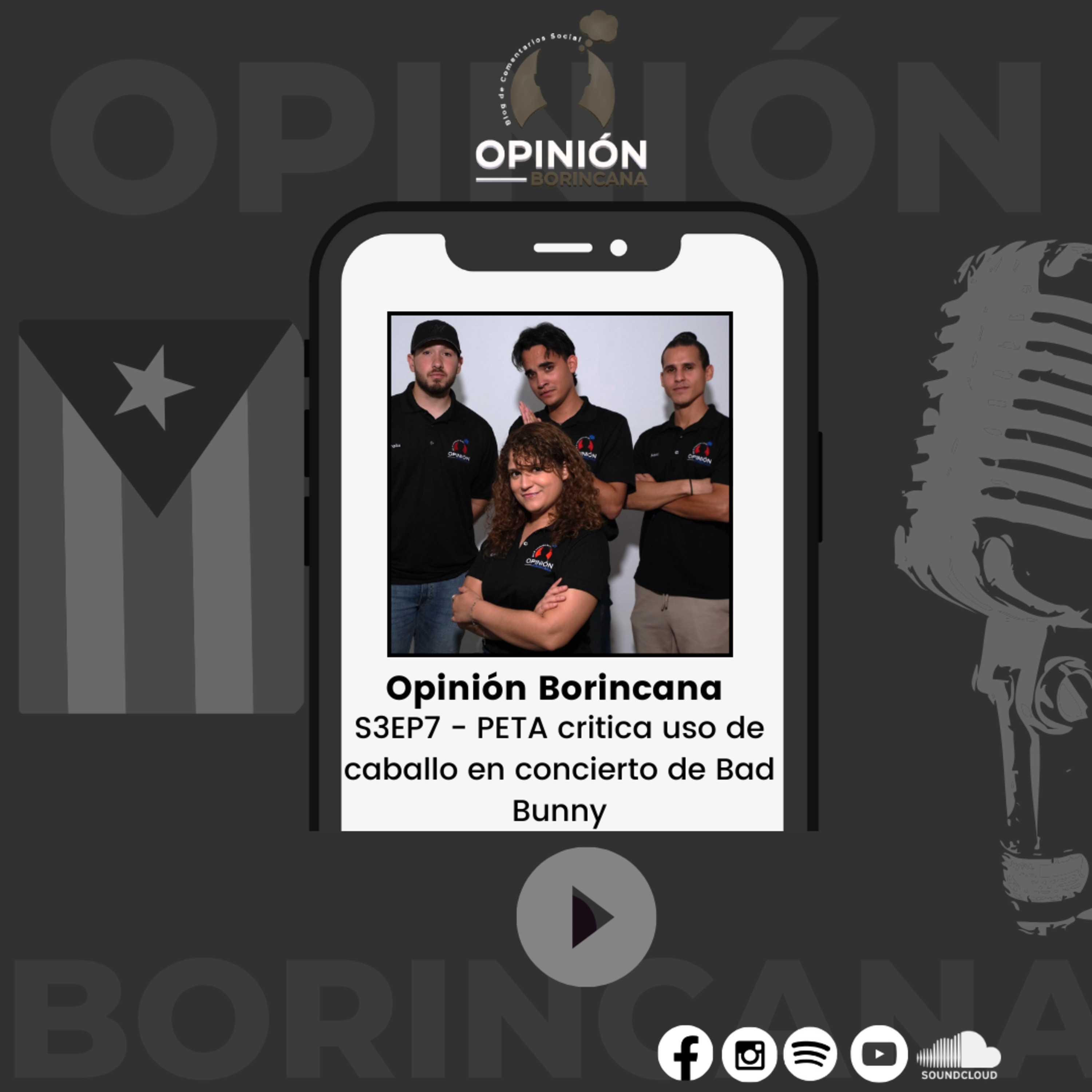 Opinión Borincana