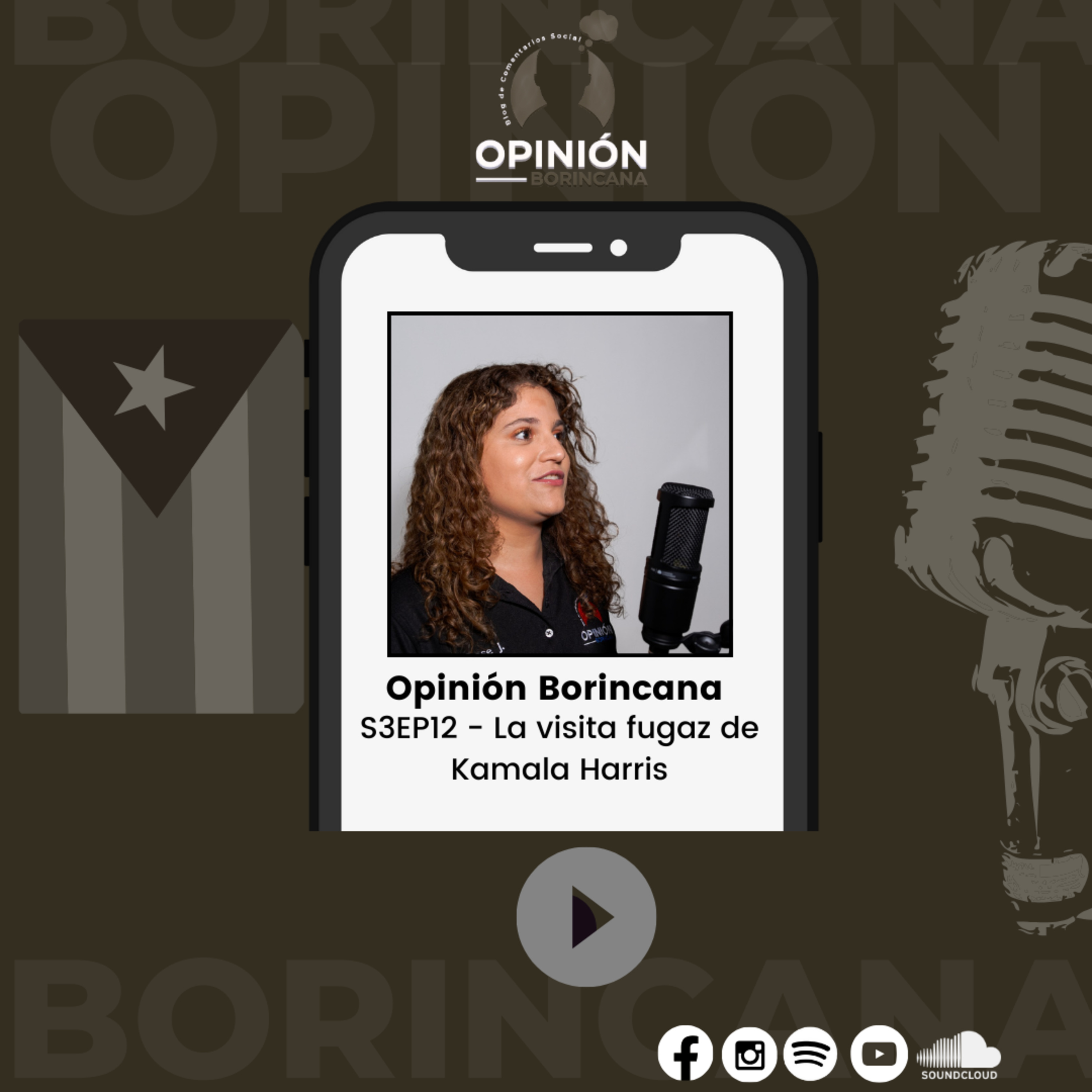 Opinión Borincana