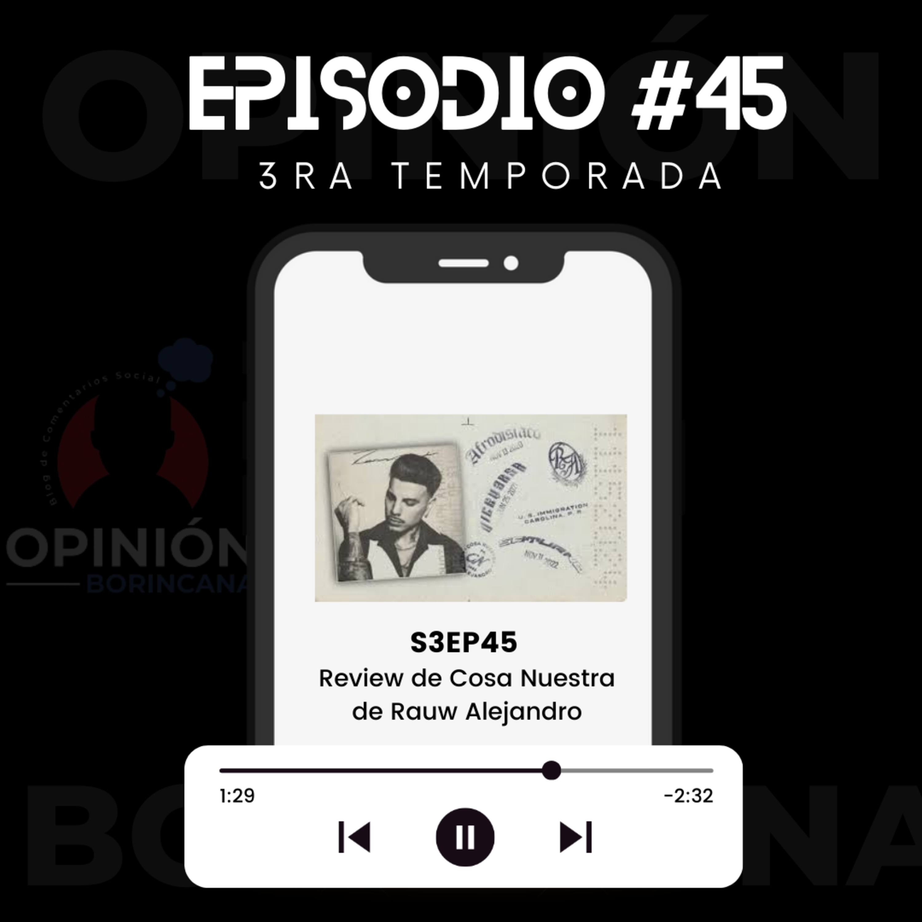 Opinión Borincana