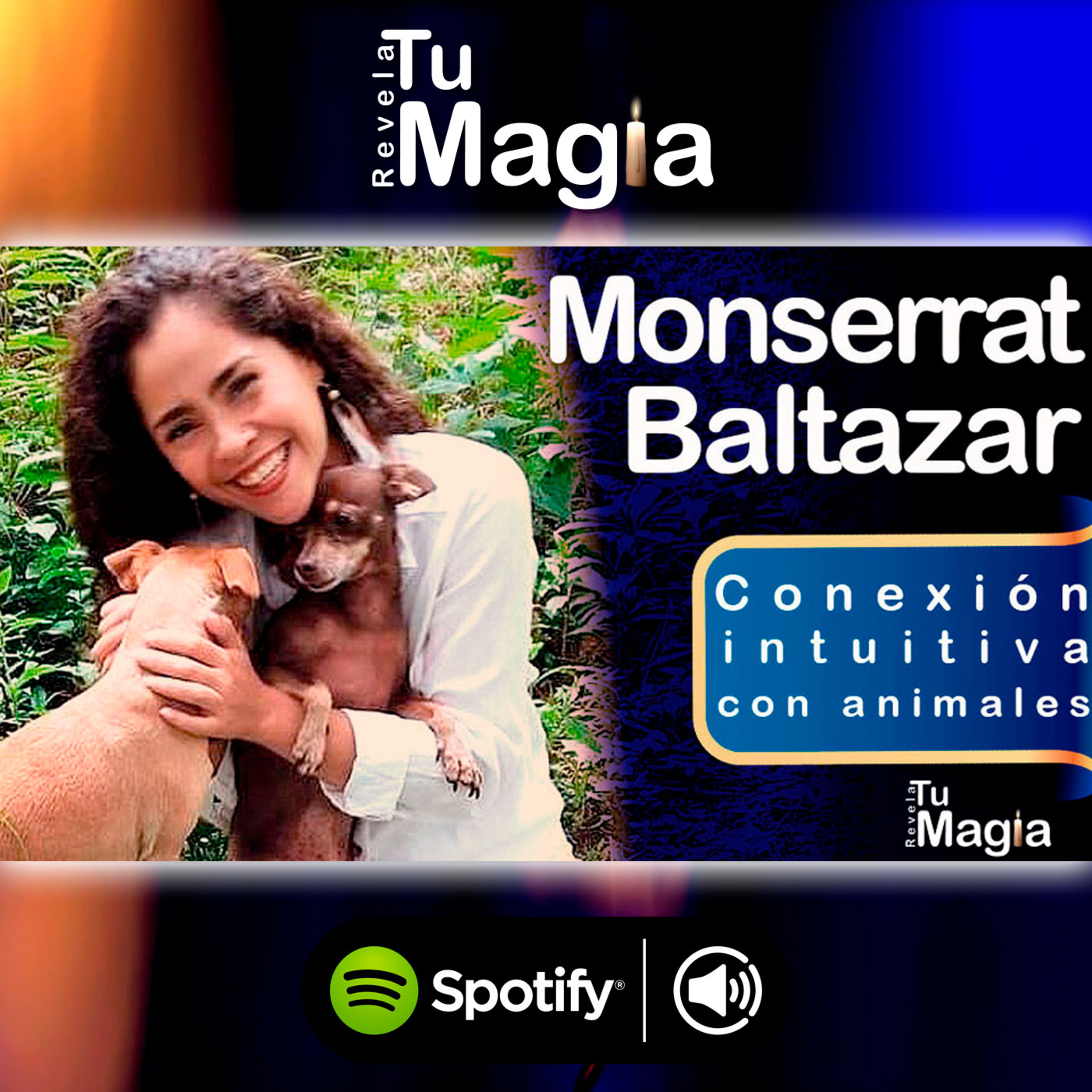Revela Tu Magia