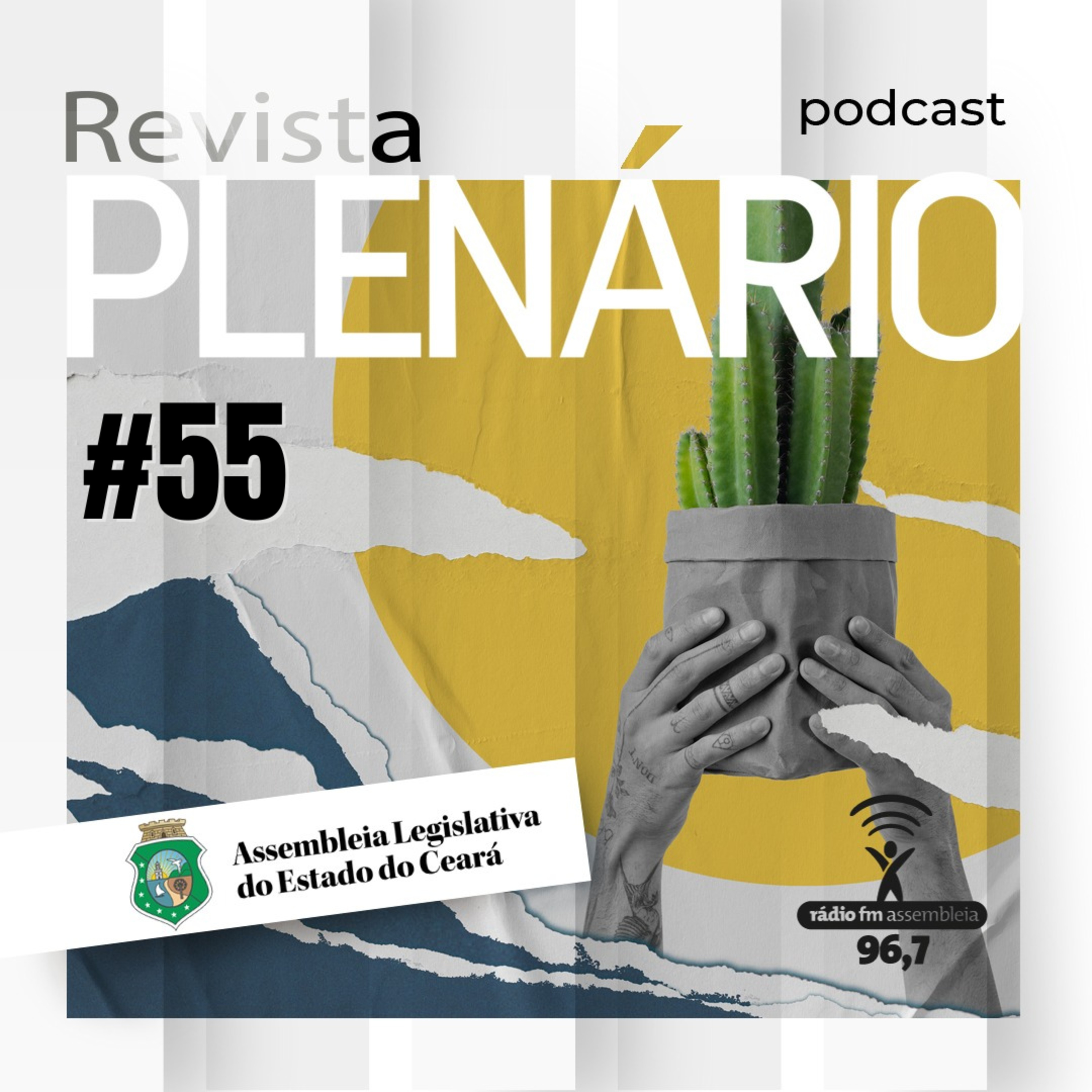 Podcast Revista Plenário