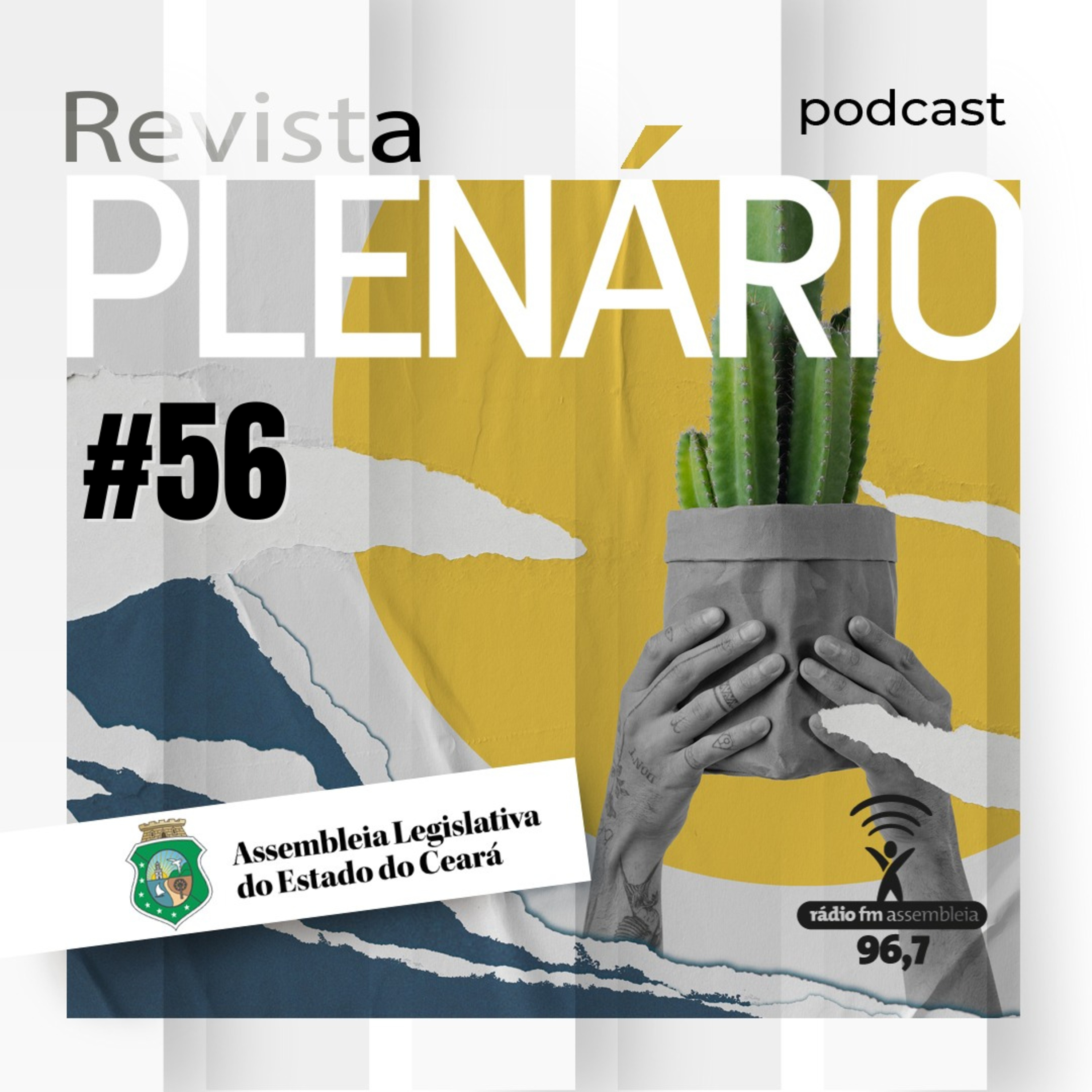 Podcast Revista Plenário