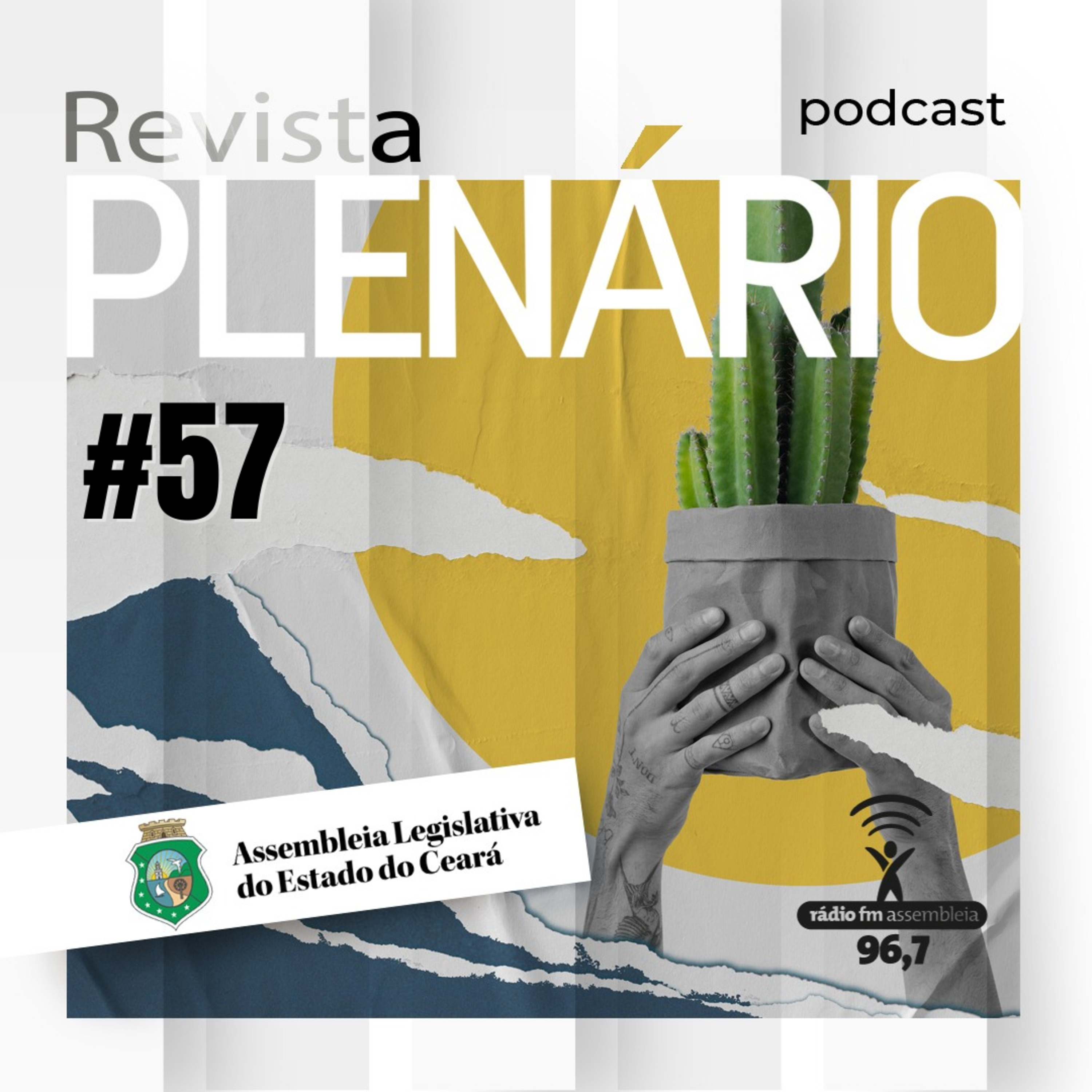 Podcast Revista Plenário