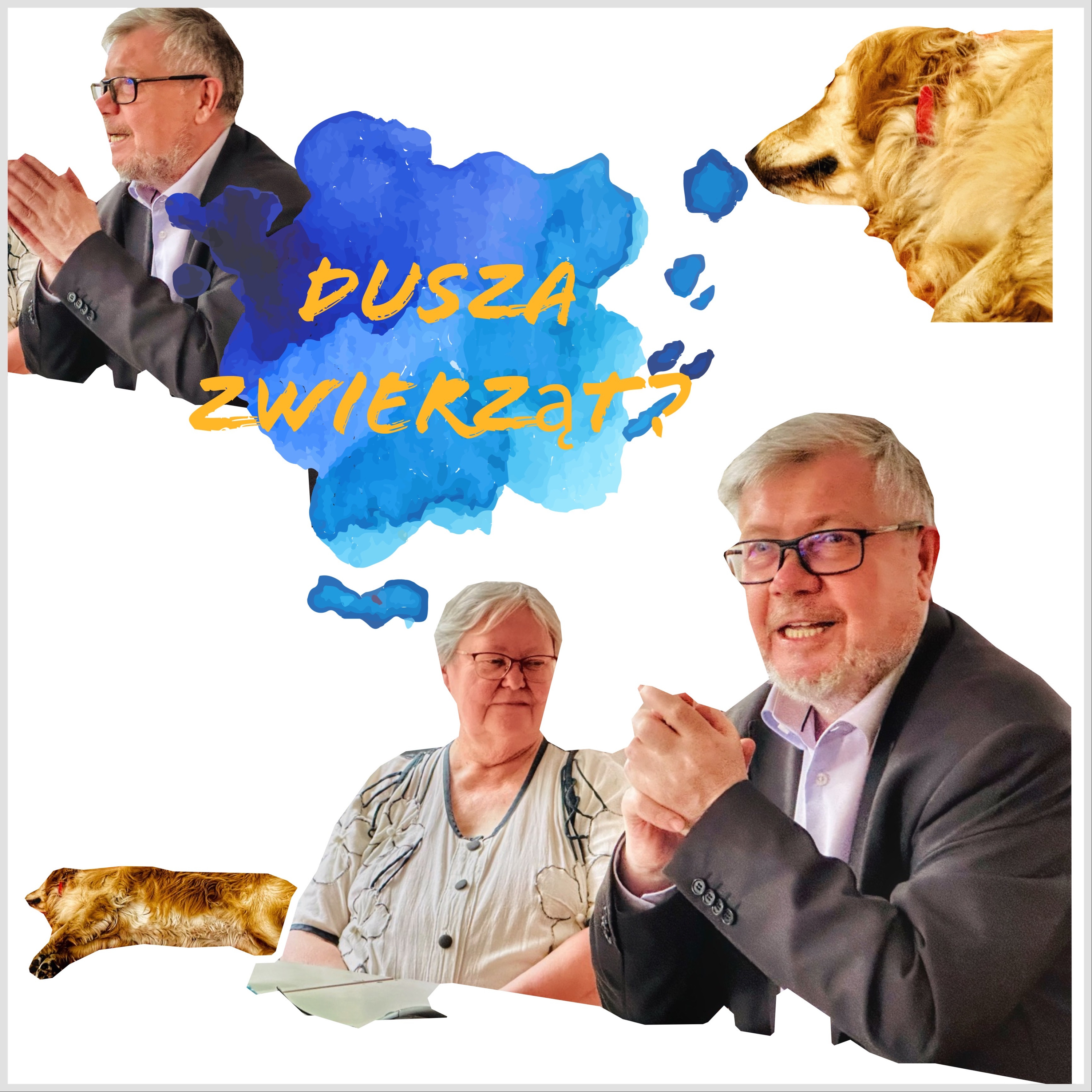 Dusza zwierząt episode artwork
