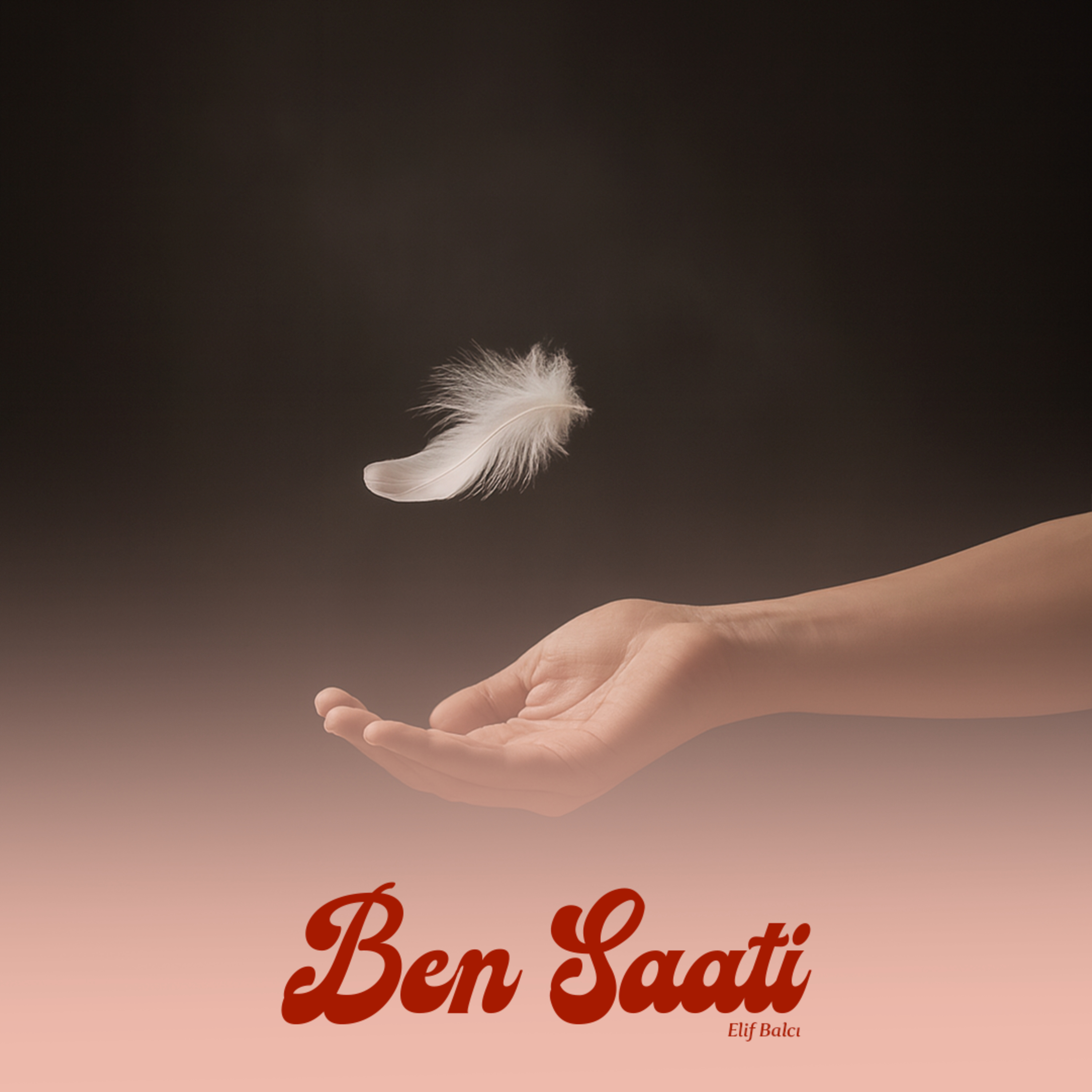 Kimseyle Tesadüfen Karşılaşmazsın