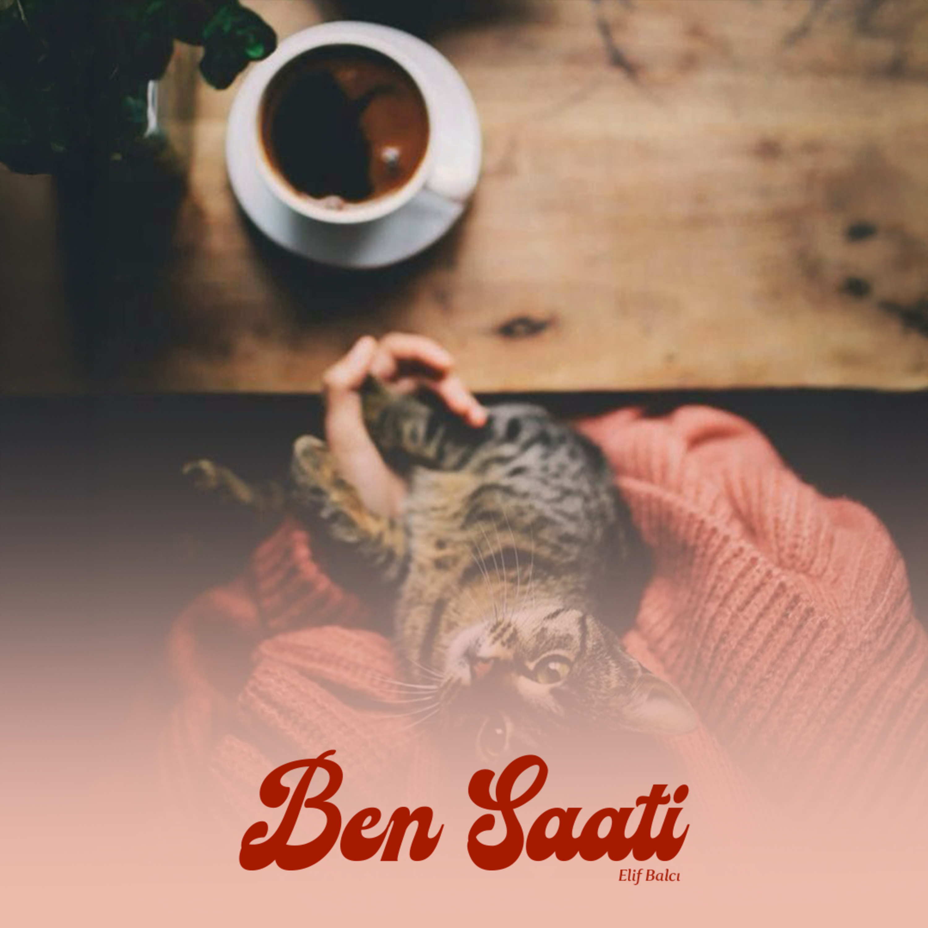Günü Kurtarmak mı, Genişletmek mi?