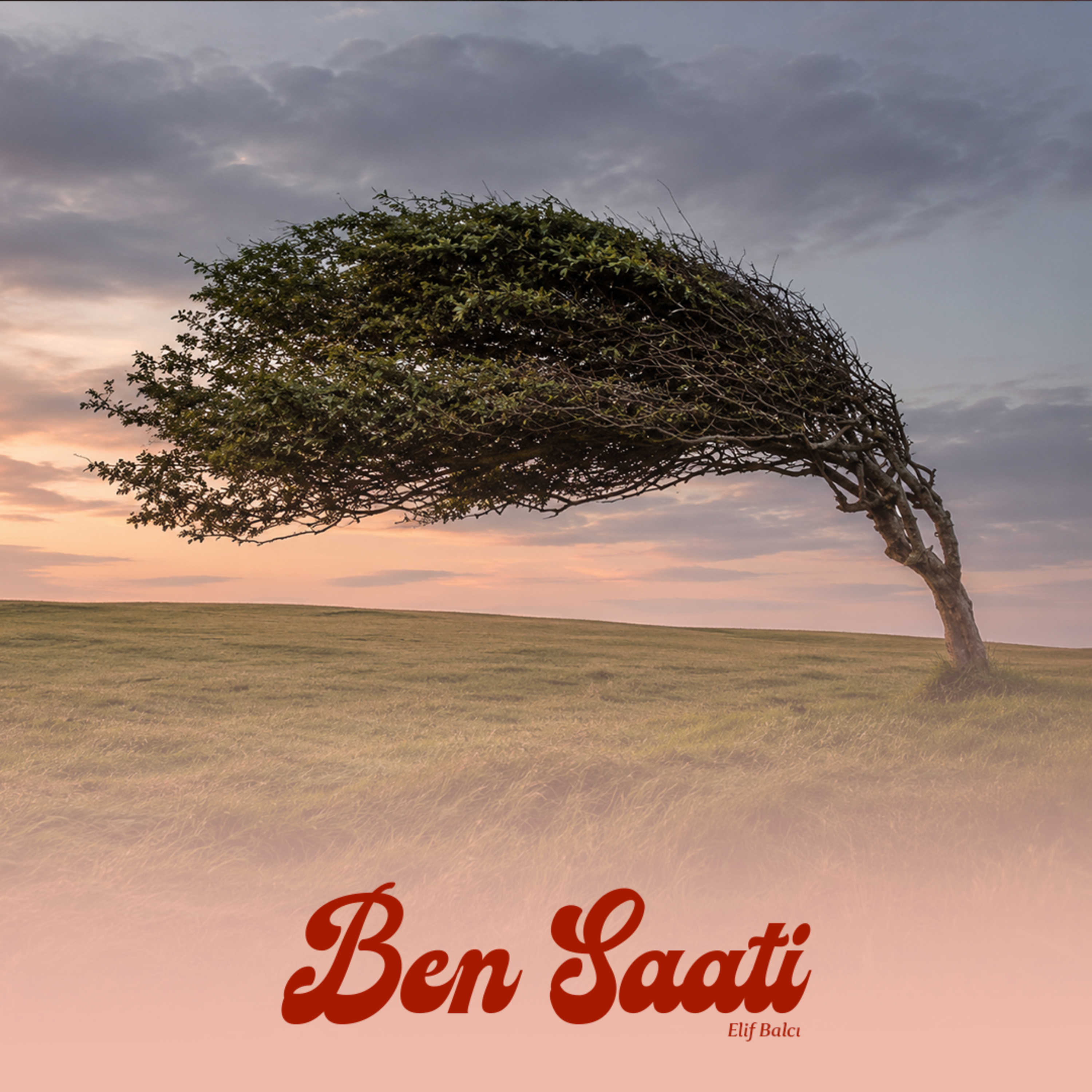 Duygusal Dayanıklılığımı Nasıl Güçlendirebilirim?